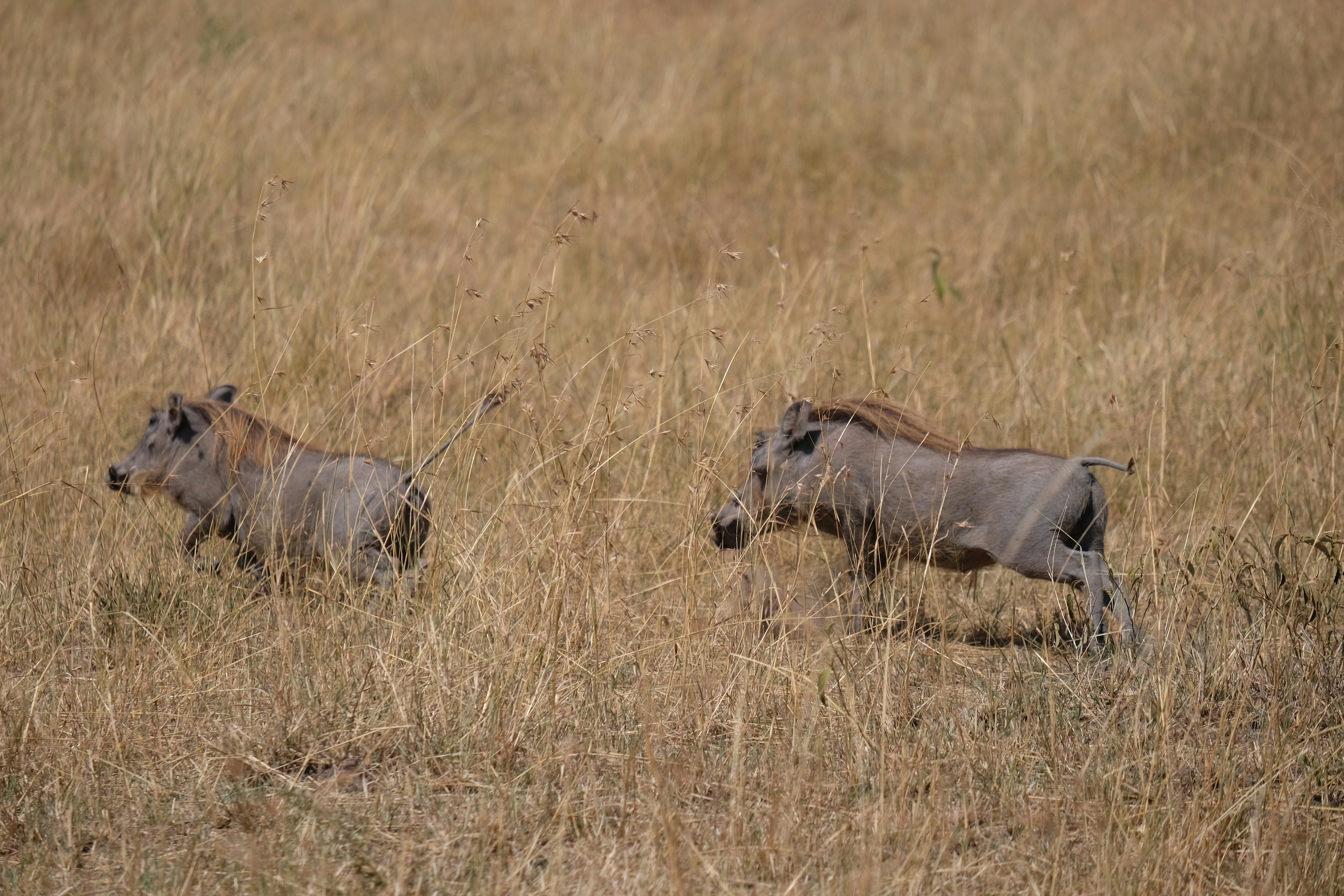 Photo by cooksphotography