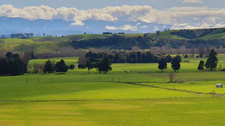 A serene country landscape with rolling hills and wildflowers, reflecting the essence behind New England Skin’s ingredients.