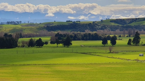 A serene landscape of rolling hills and fields.