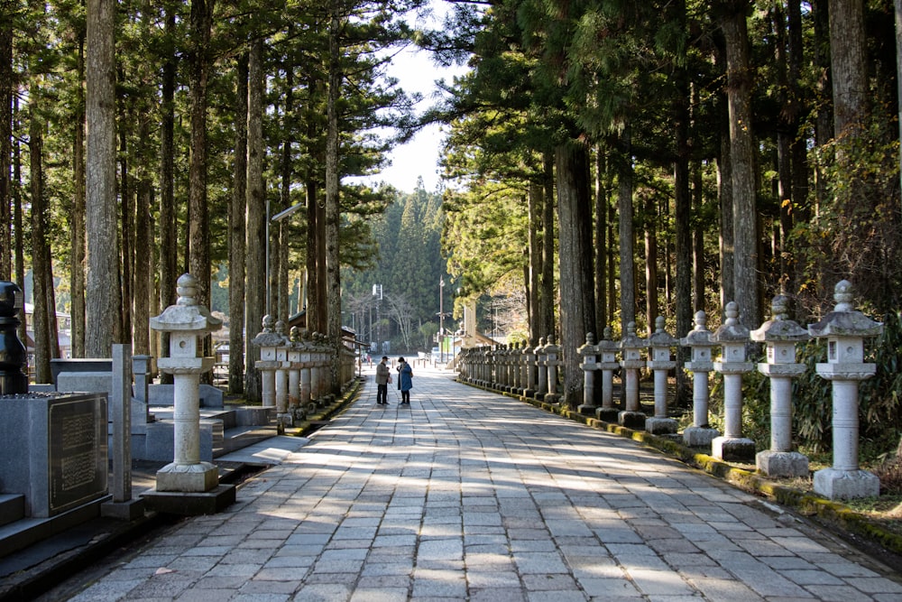 a walkway with trees on either side