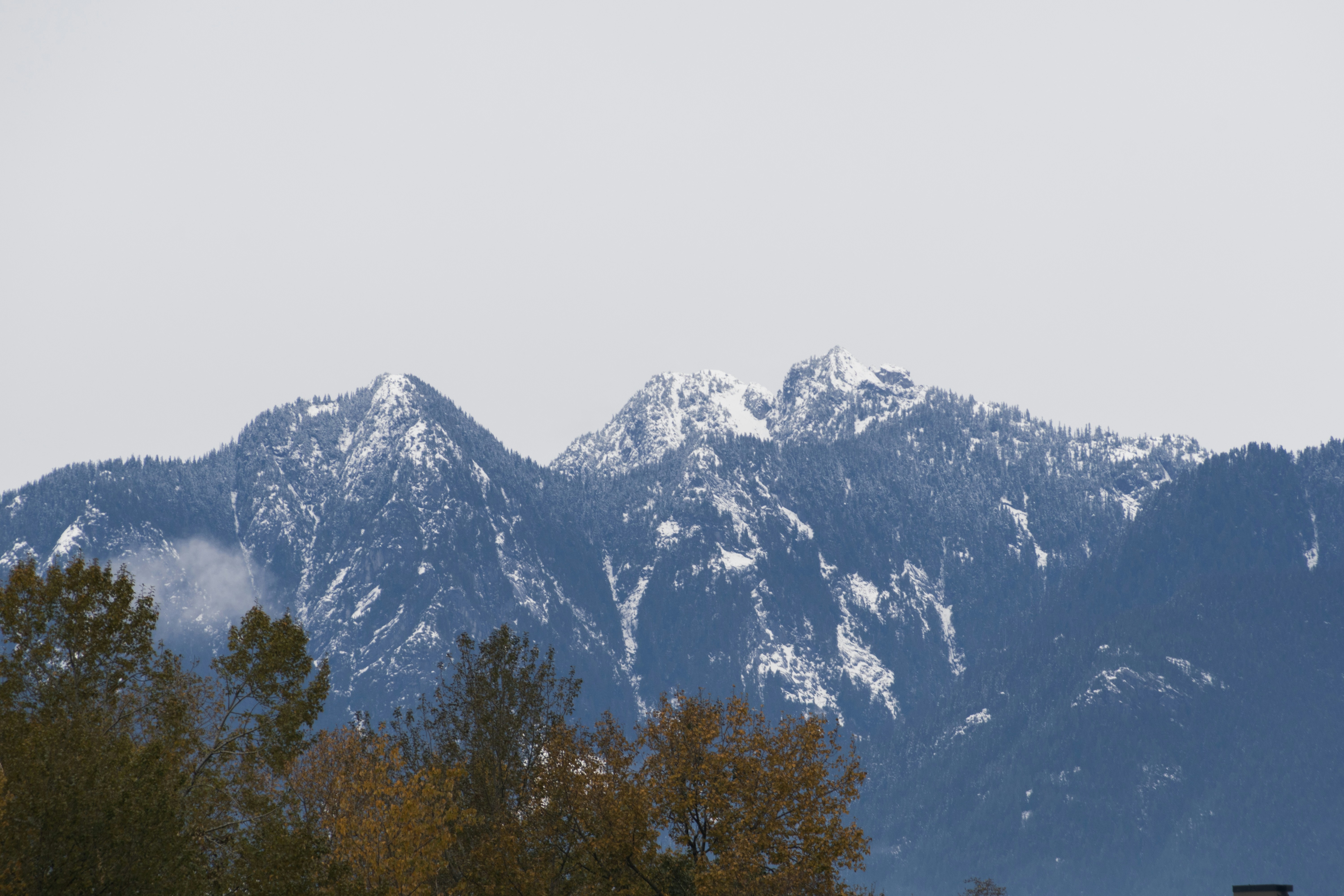 Containers in Vancouver, WA
