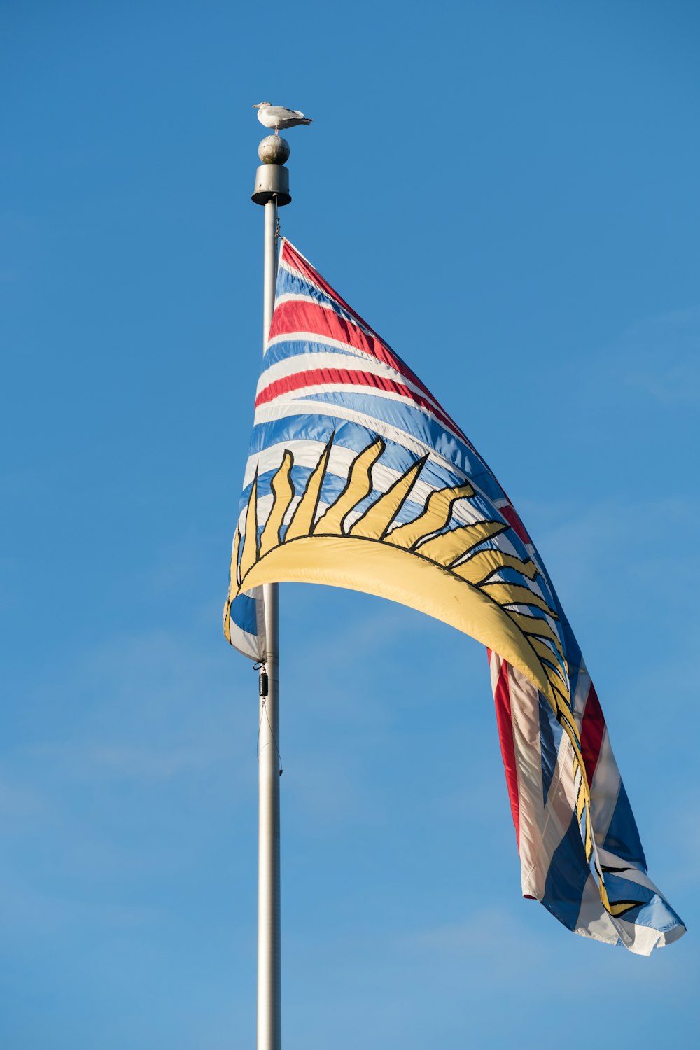 a flag on a pole