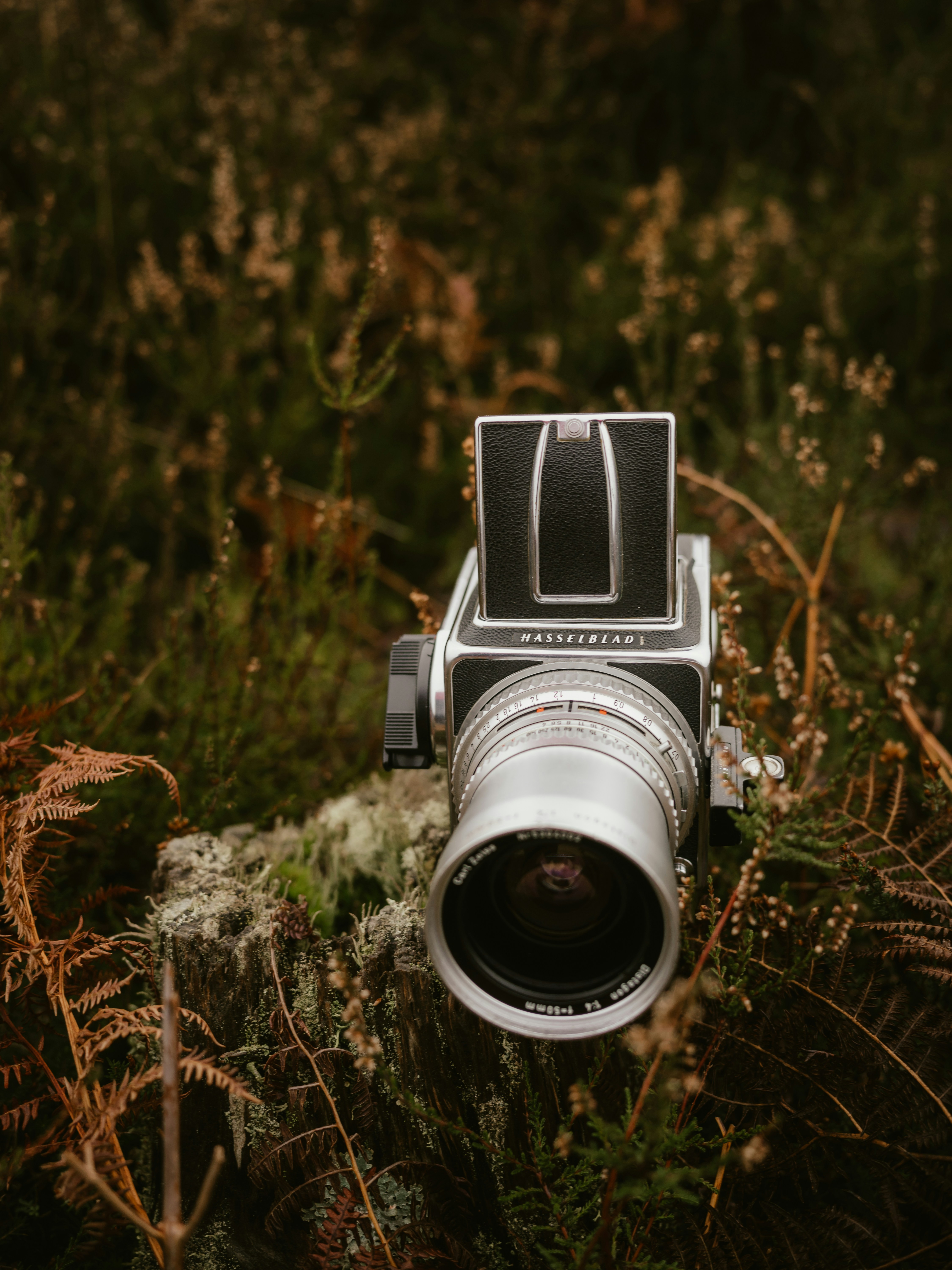 Photo by anniespratt