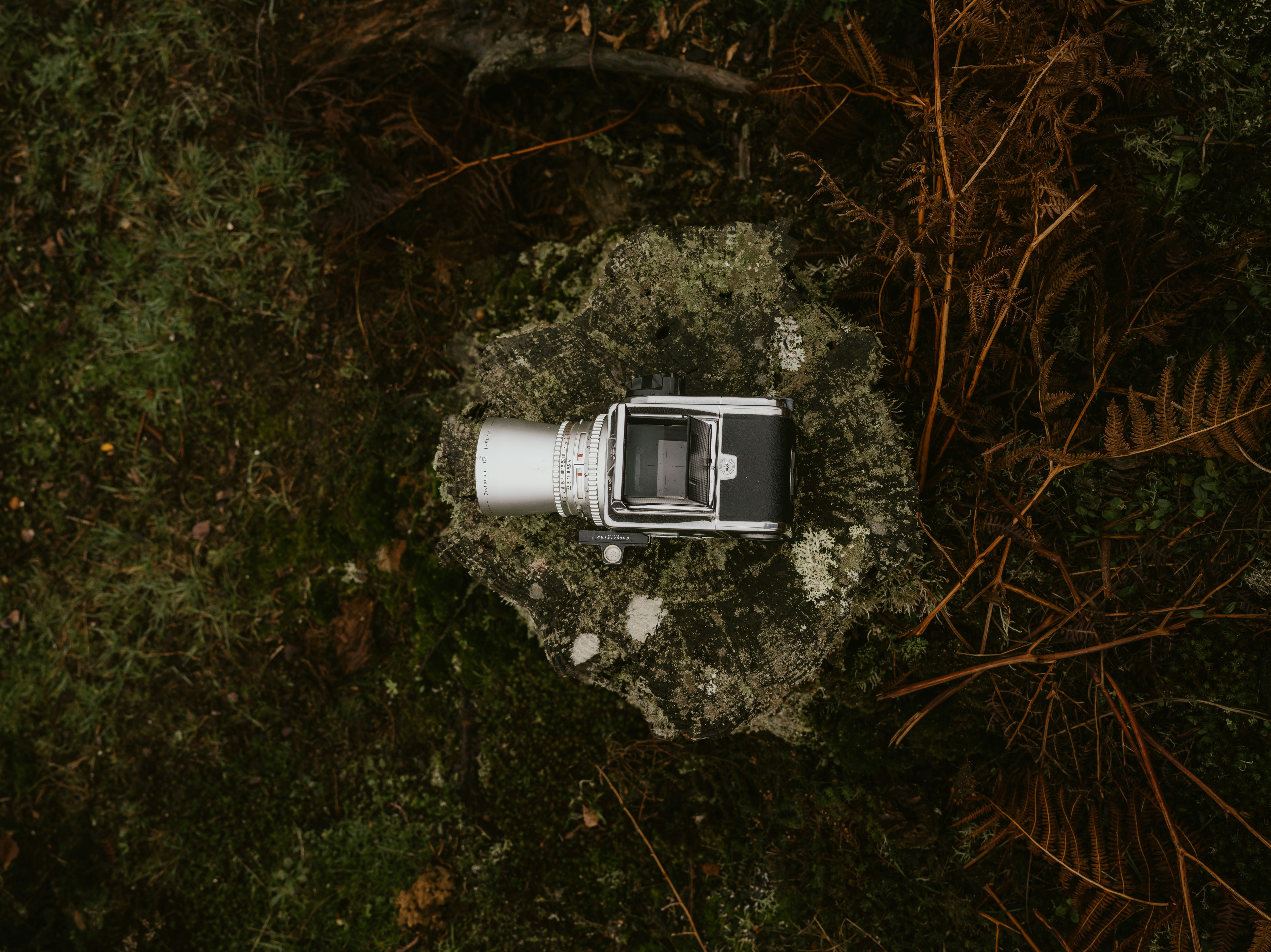 A small white box with a black lid on a rock surrounded by trees
