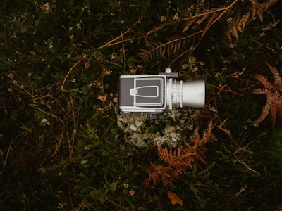 A vintage camera with a silver lens rests on a bed of moss and dried ferns surrounded by green shrubs. The setting appears natural, evoking a rustic and nostalgic atmosphere.