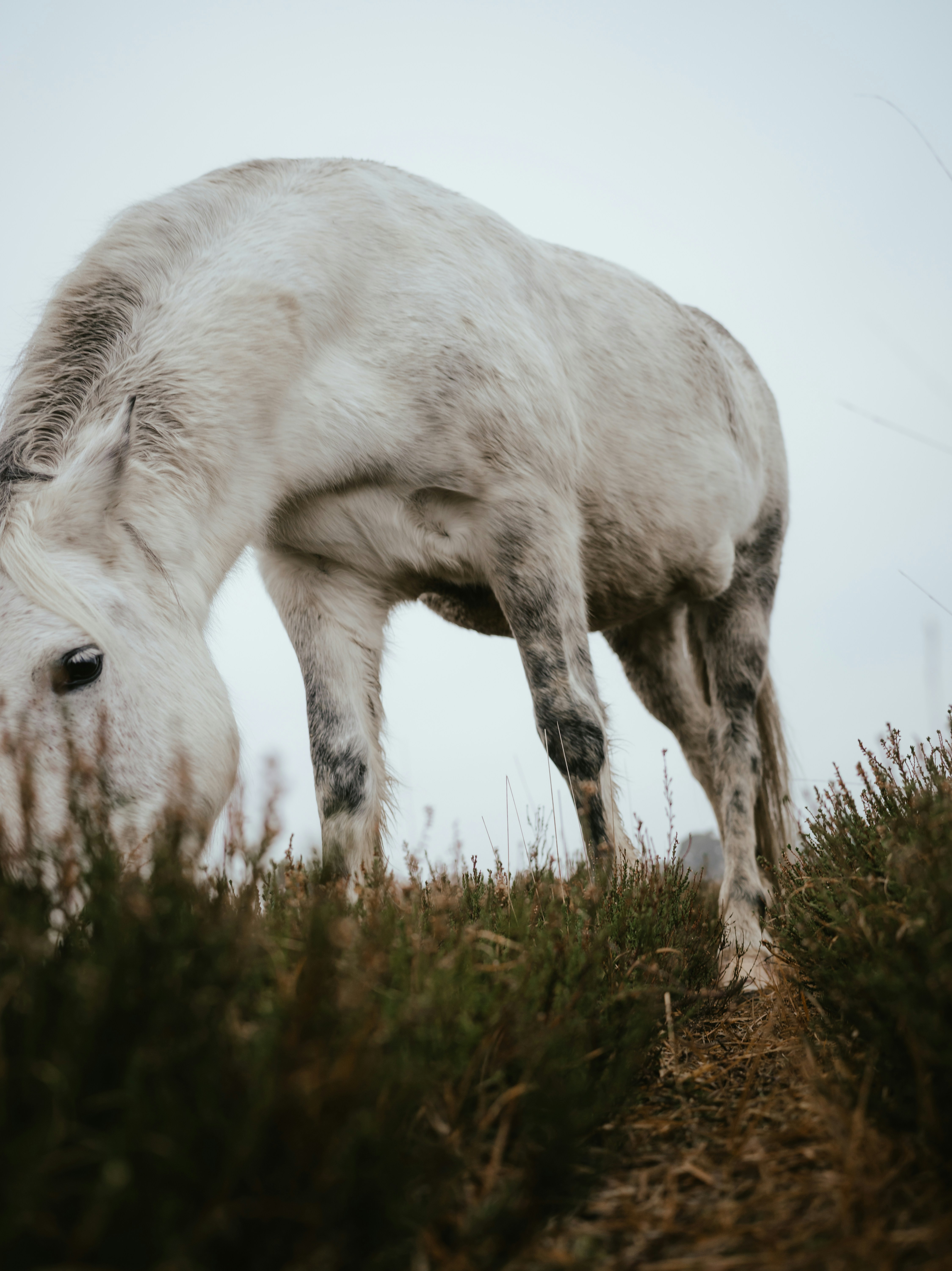 Photo by anniespratt