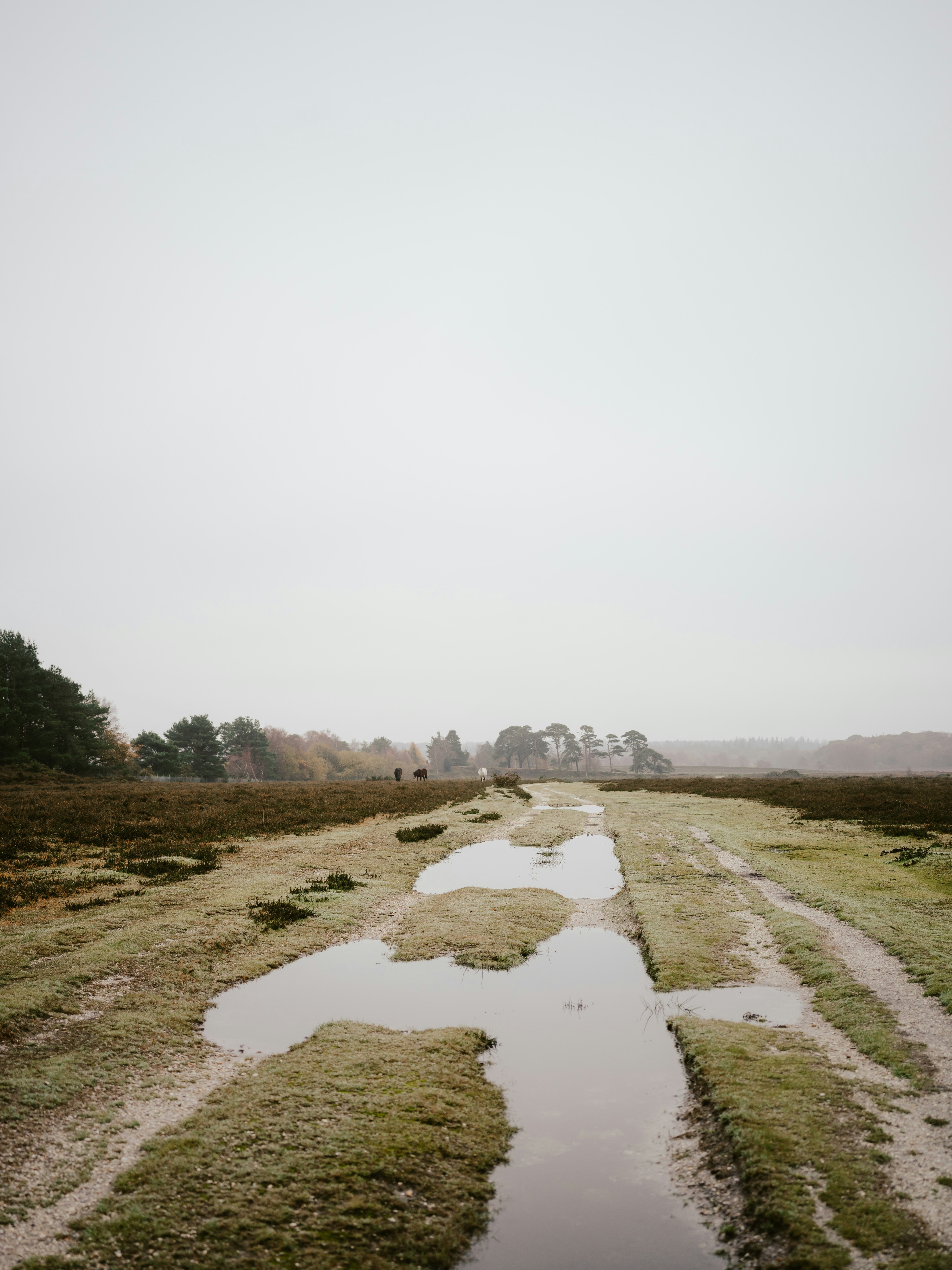 Photo by anniespratt