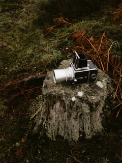 a machine on a tree stump