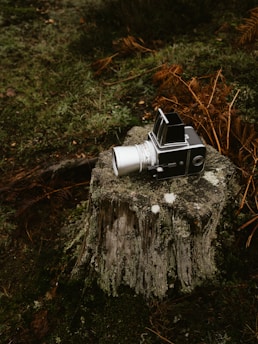 a machine on a tree stump