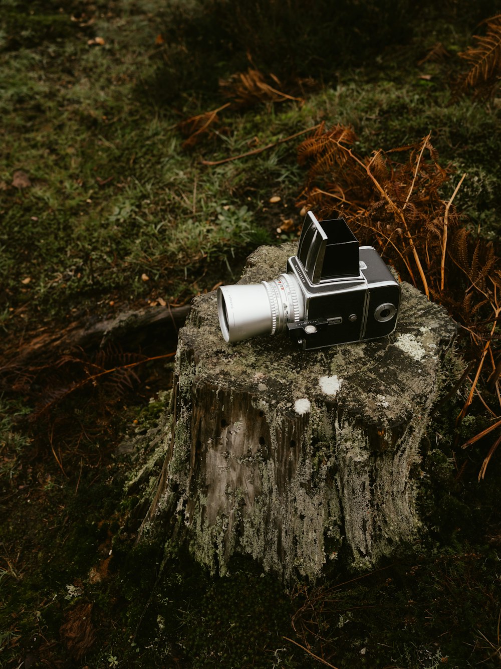 a machine on a tree stump