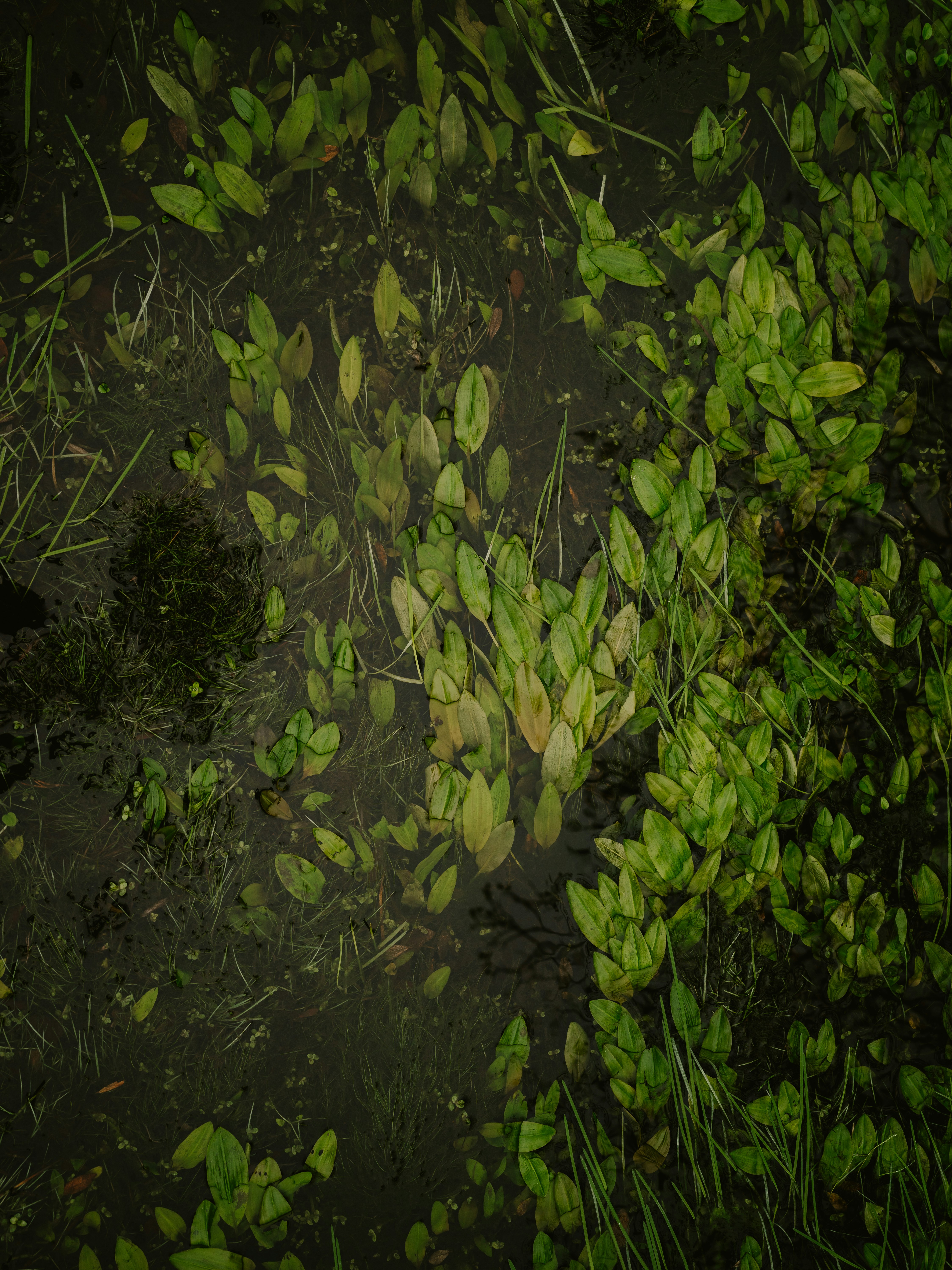 Photo by anniespratt