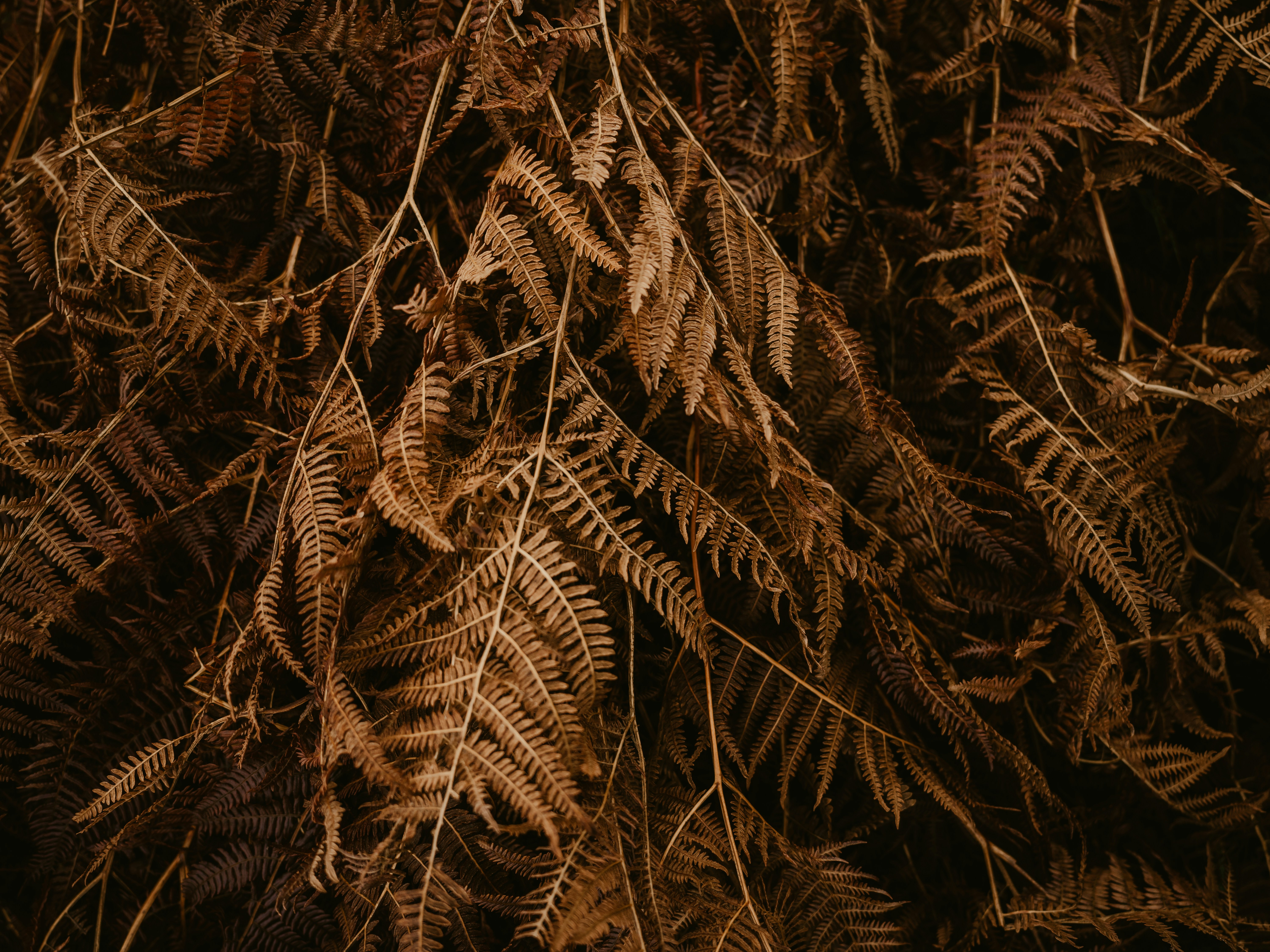 Photo by anniespratt