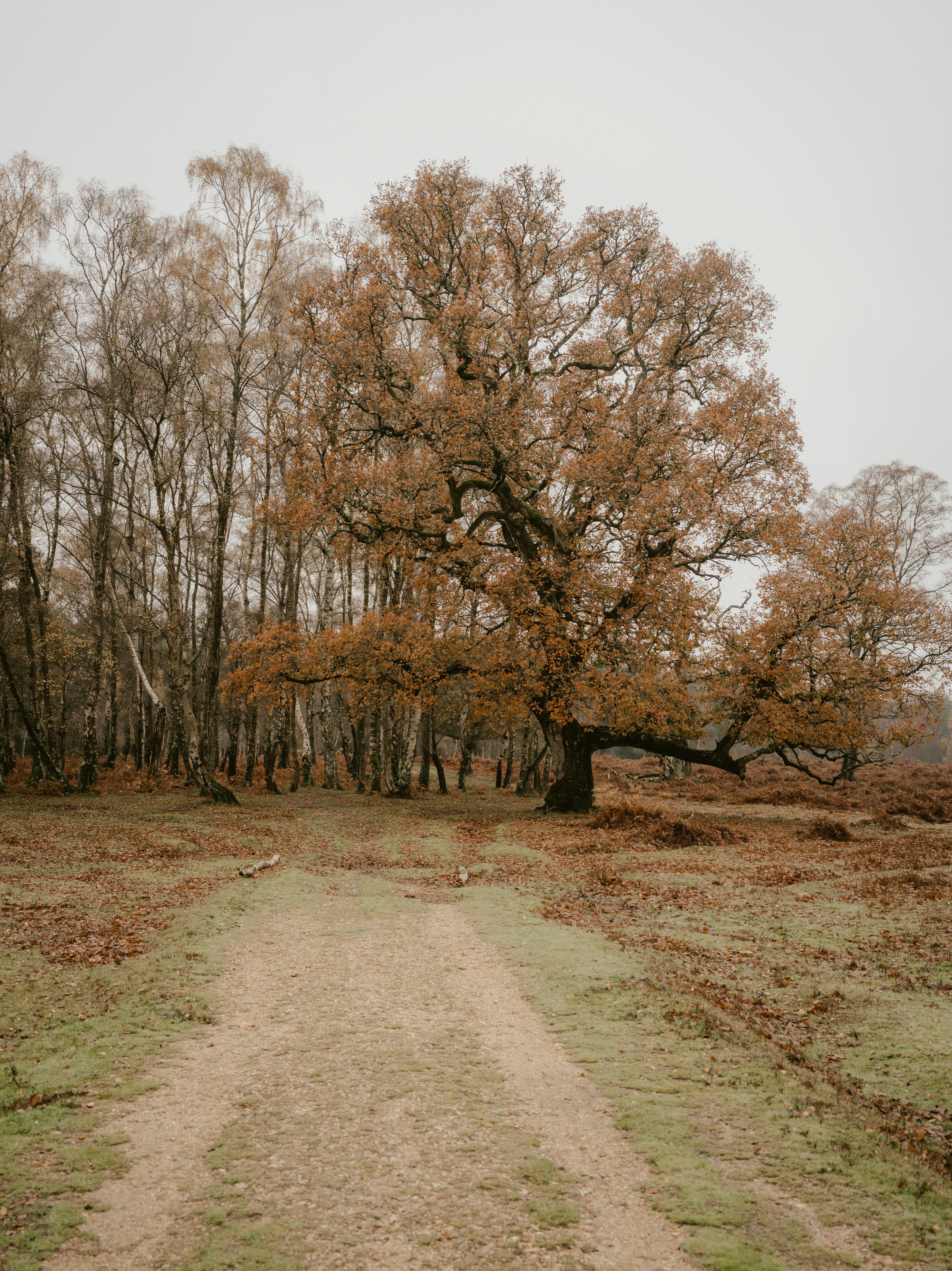 Photo by anniespratt