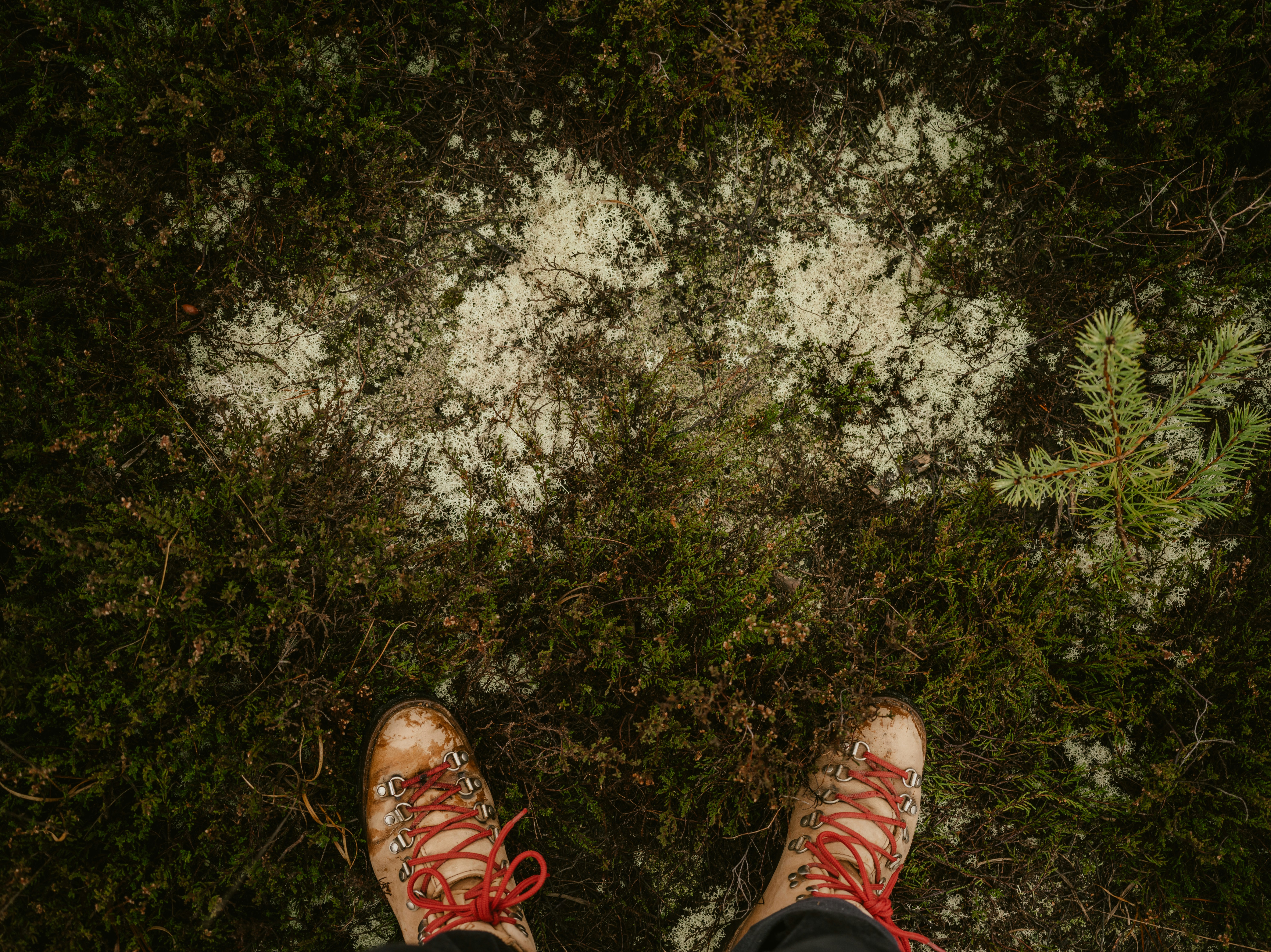 Photo by anniespratt