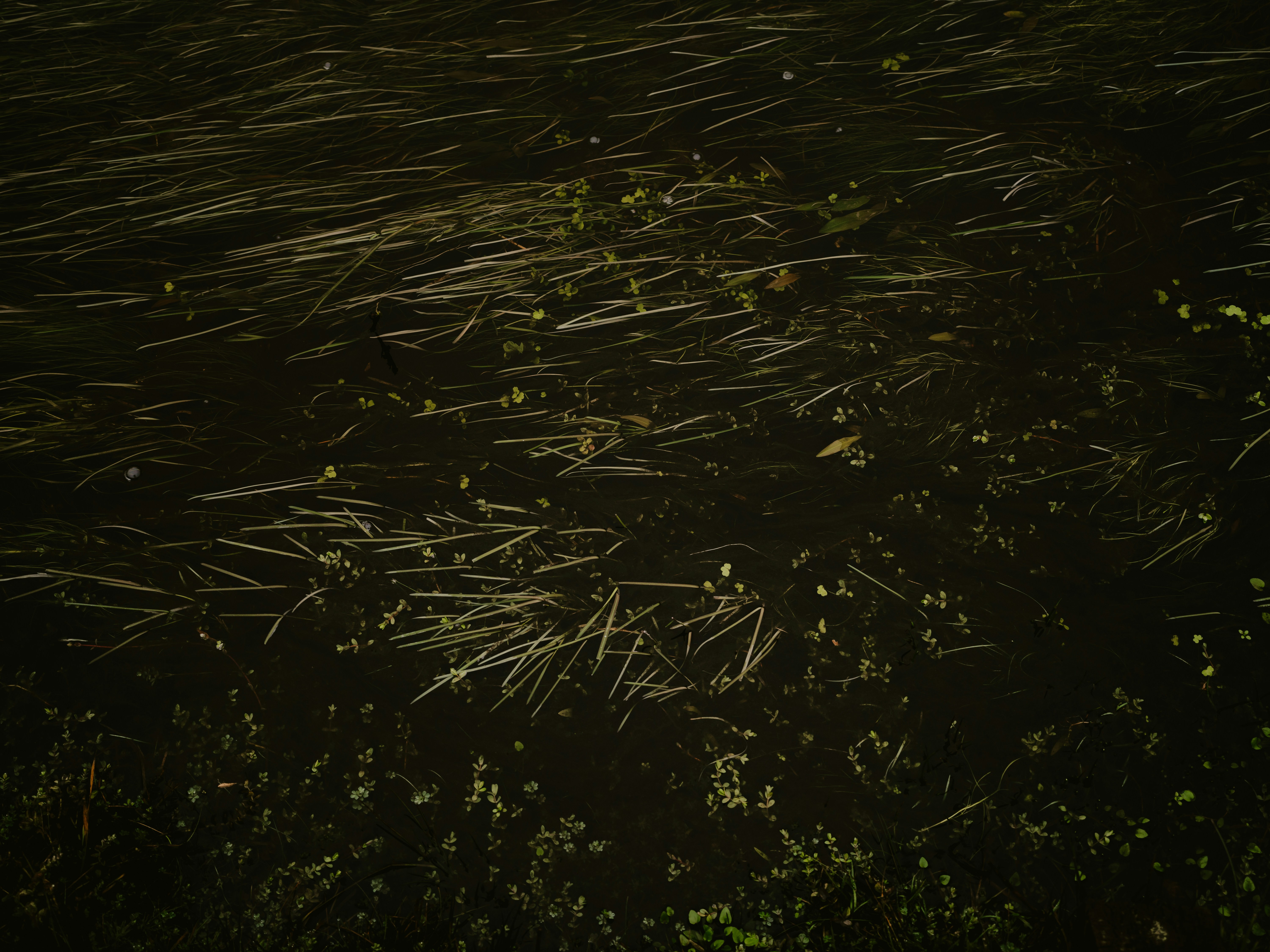 Photo by anniespratt