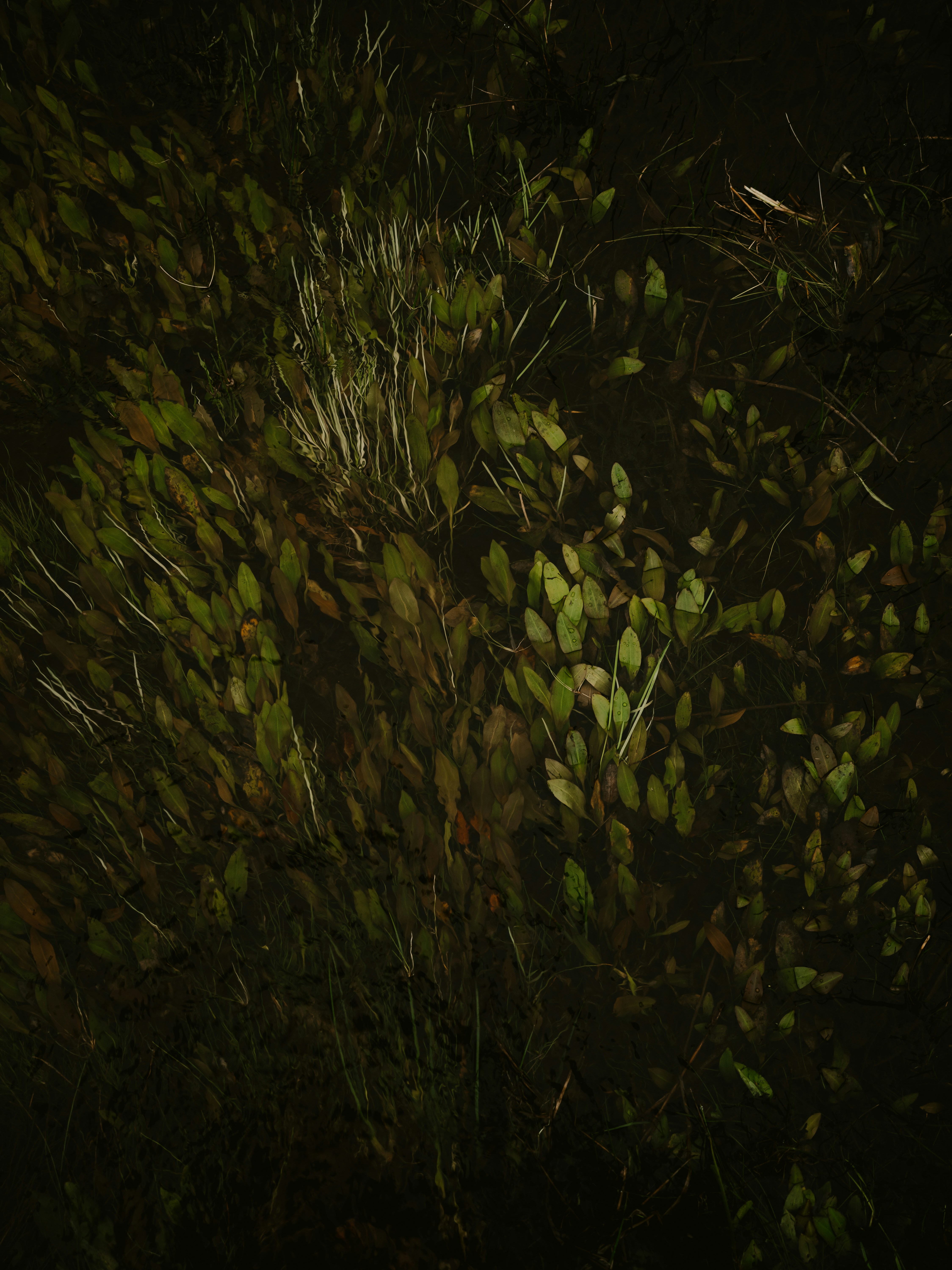 Photo by anniespratt