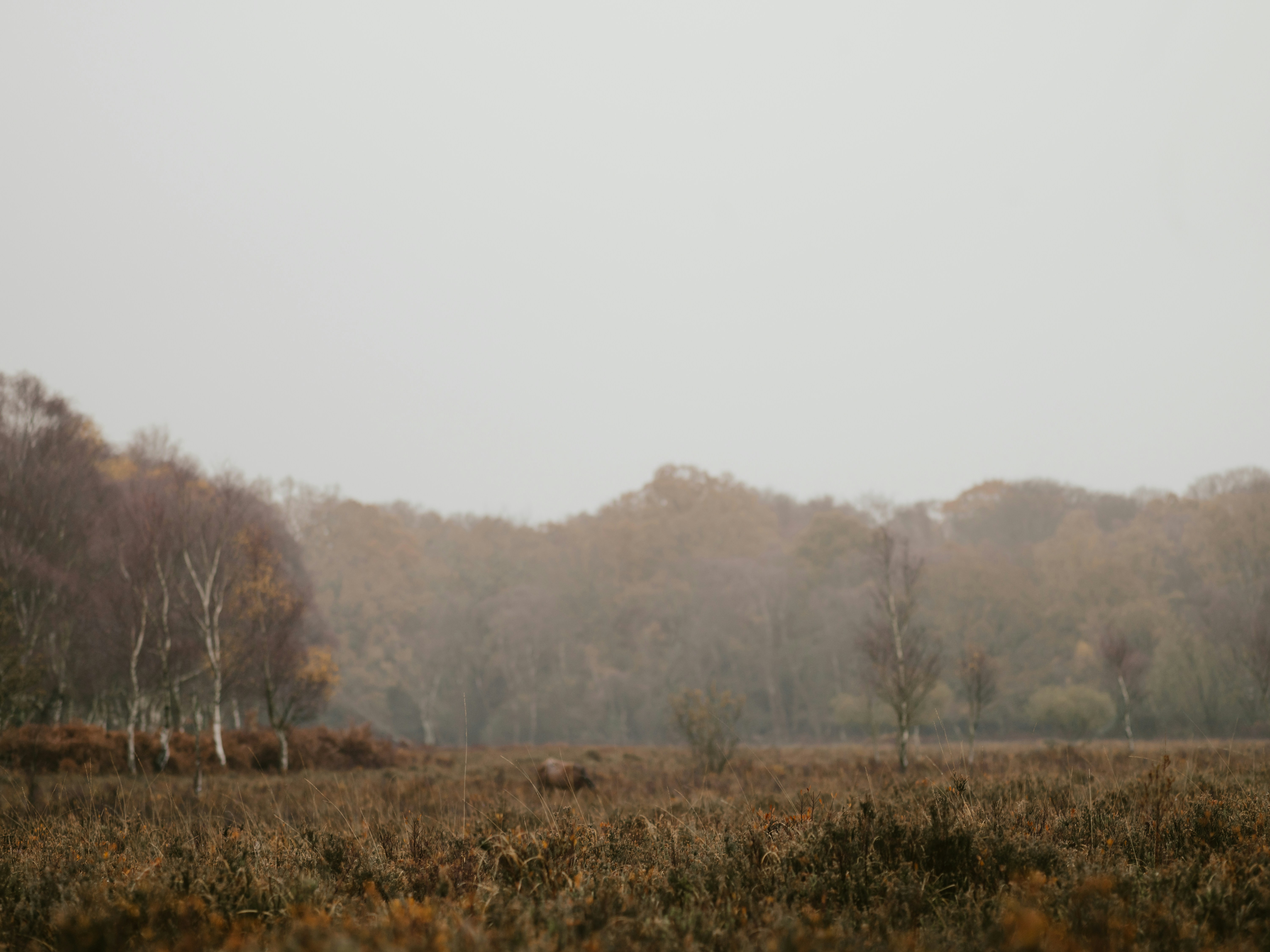 Photo by anniespratt