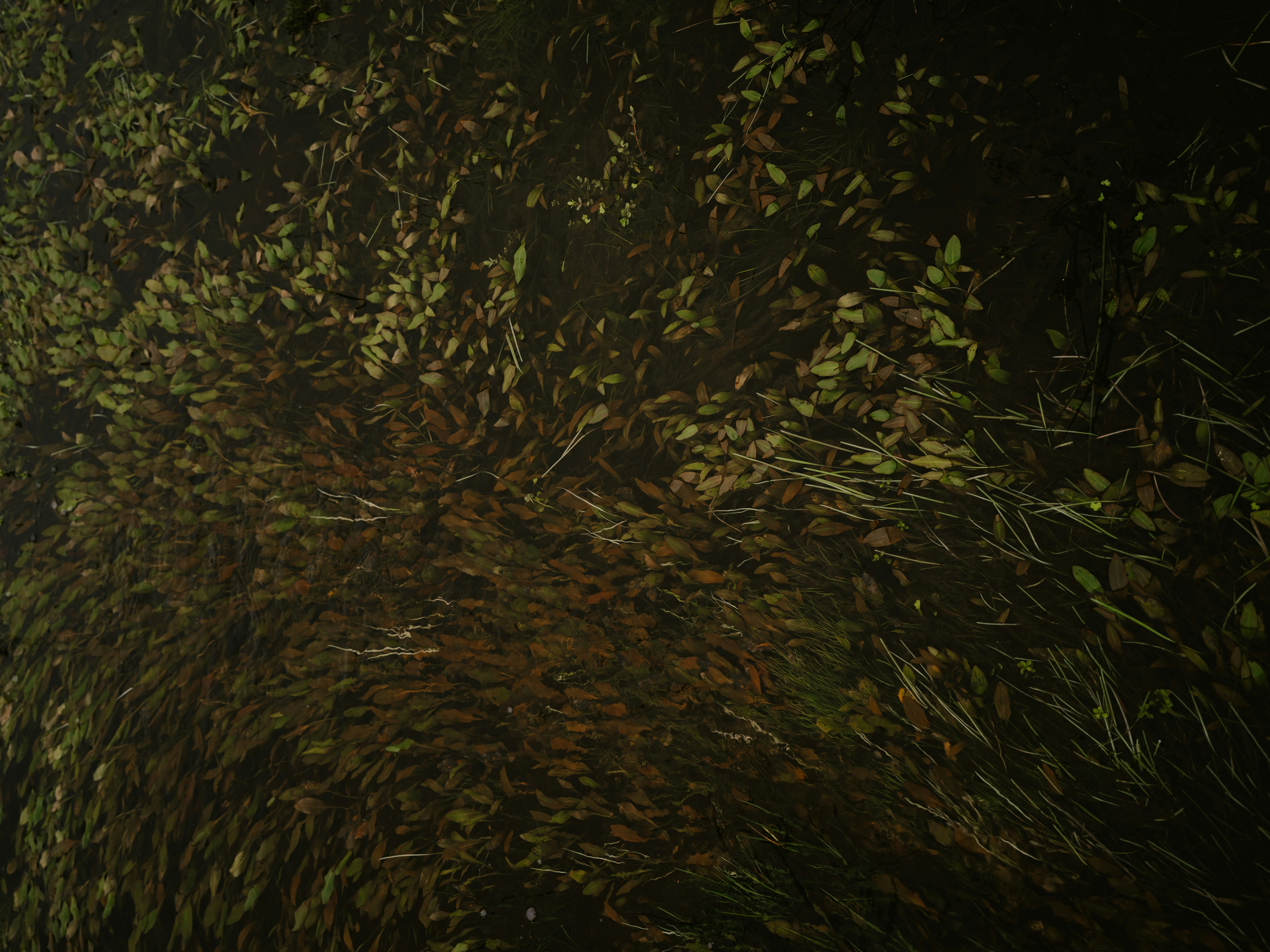 Photo by anniespratt