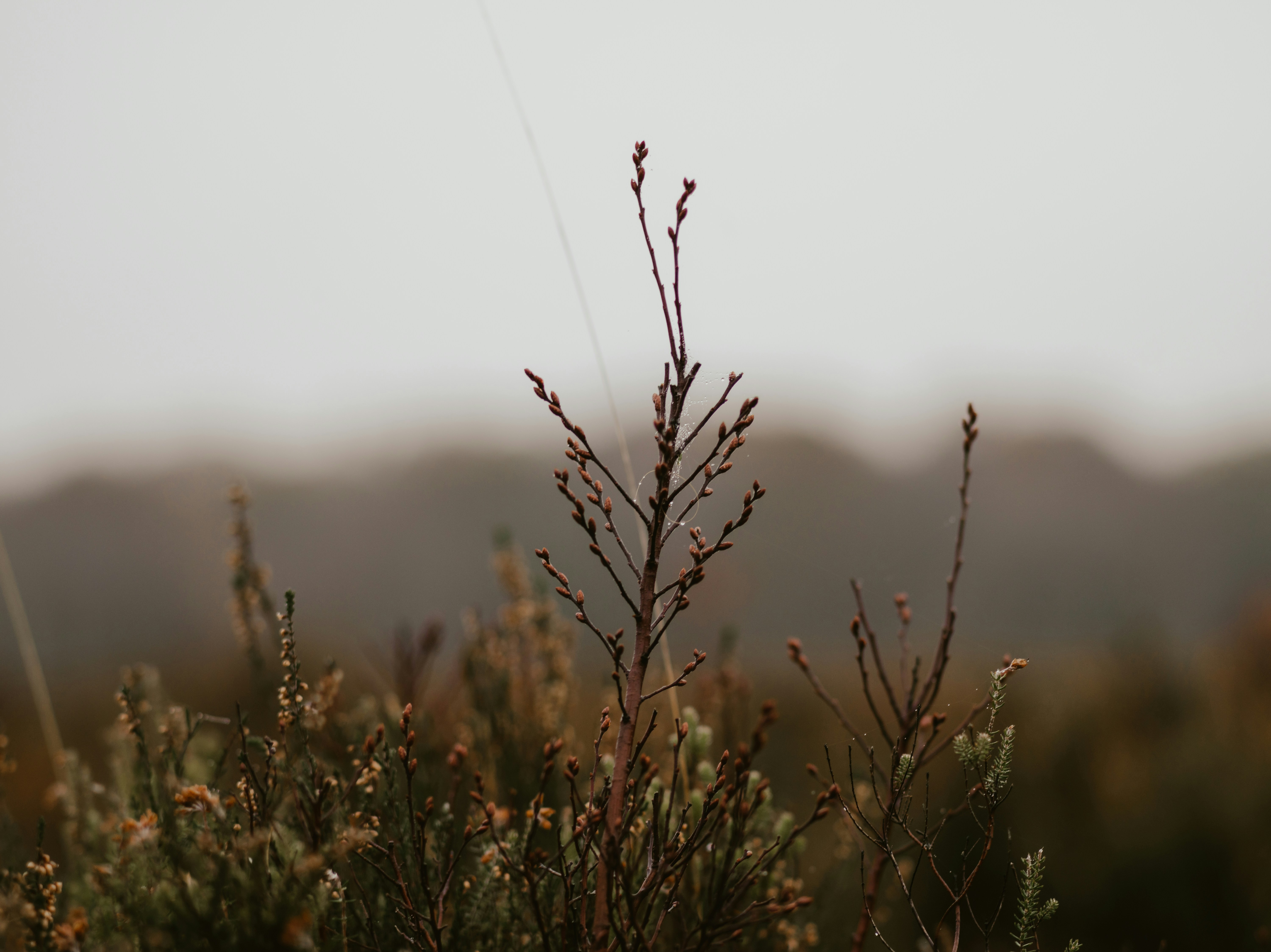 Photo by anniespratt