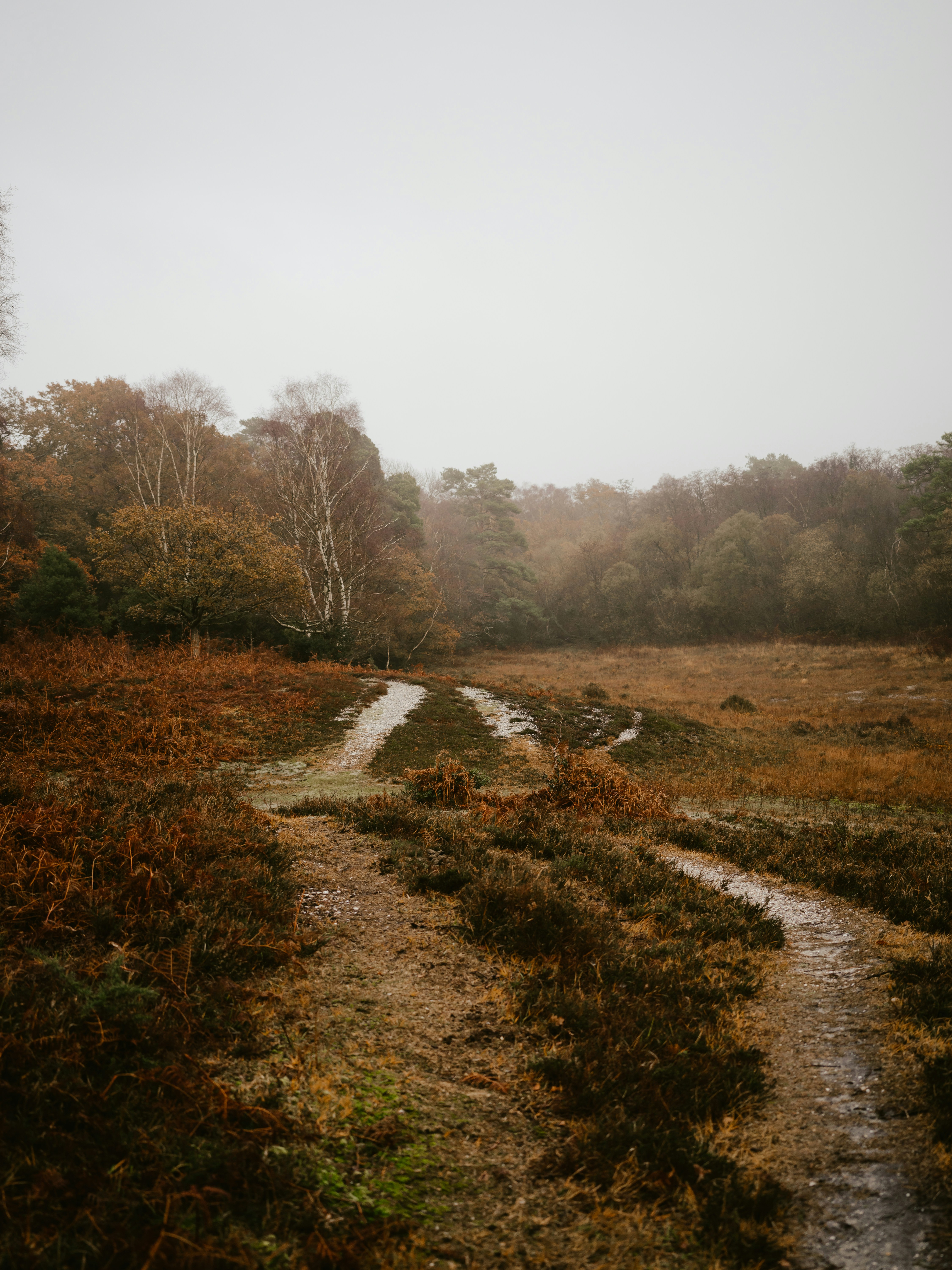 Photo by anniespratt