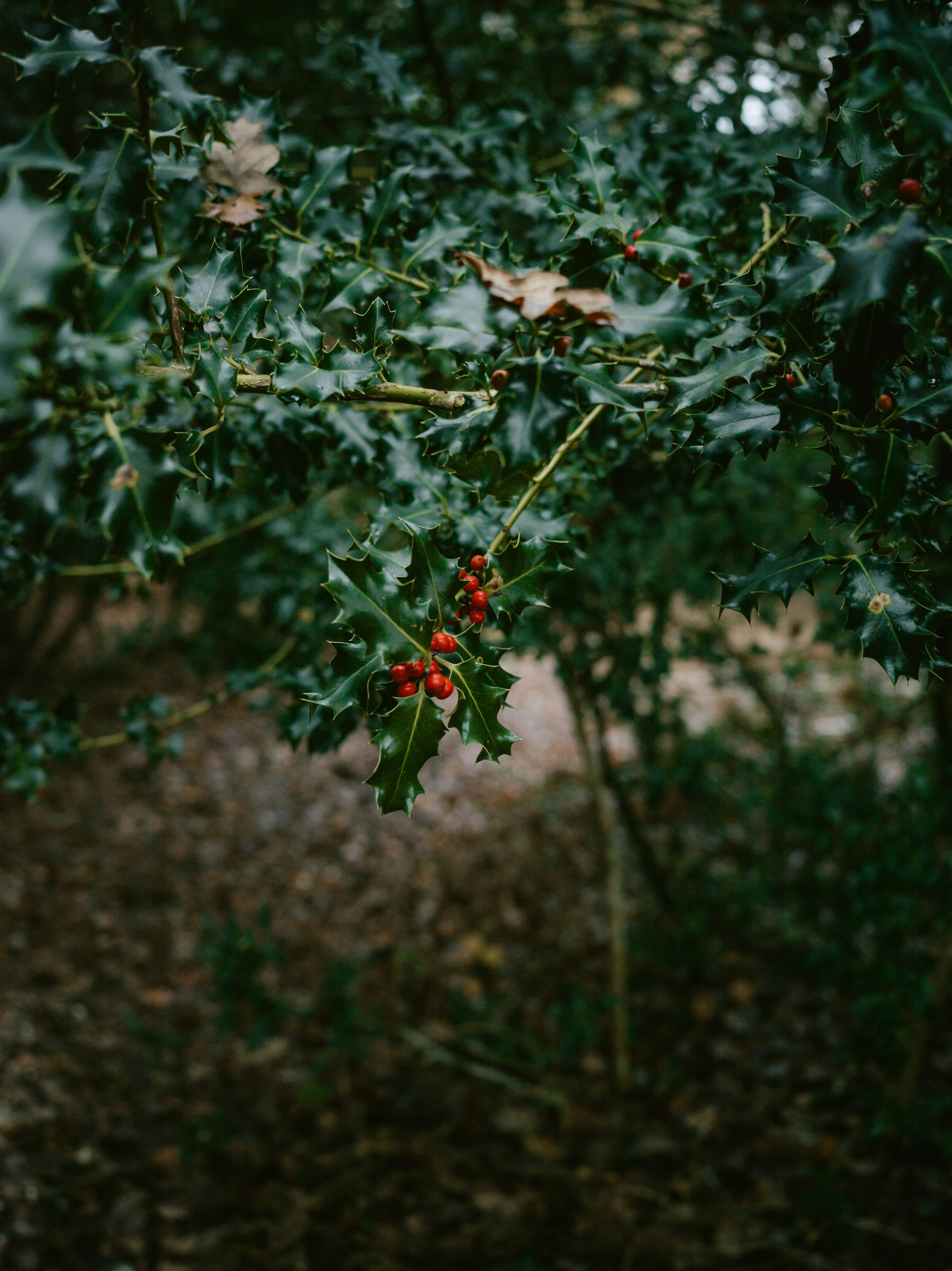 Photo by anniespratt