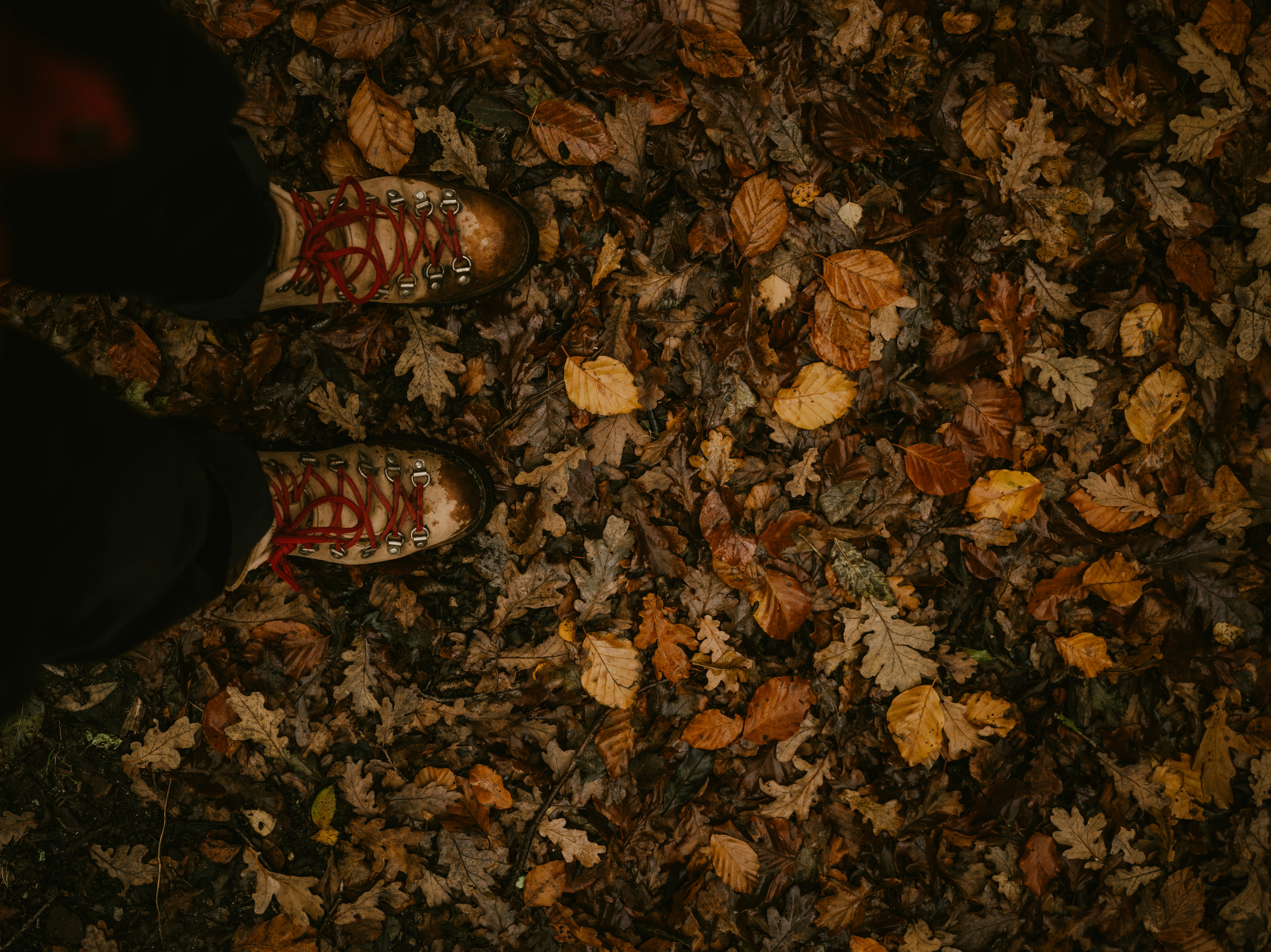 Photo by anniespratt