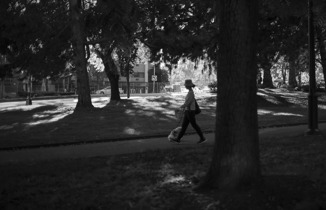 Ein Mann bei einem Spaziergang im Park