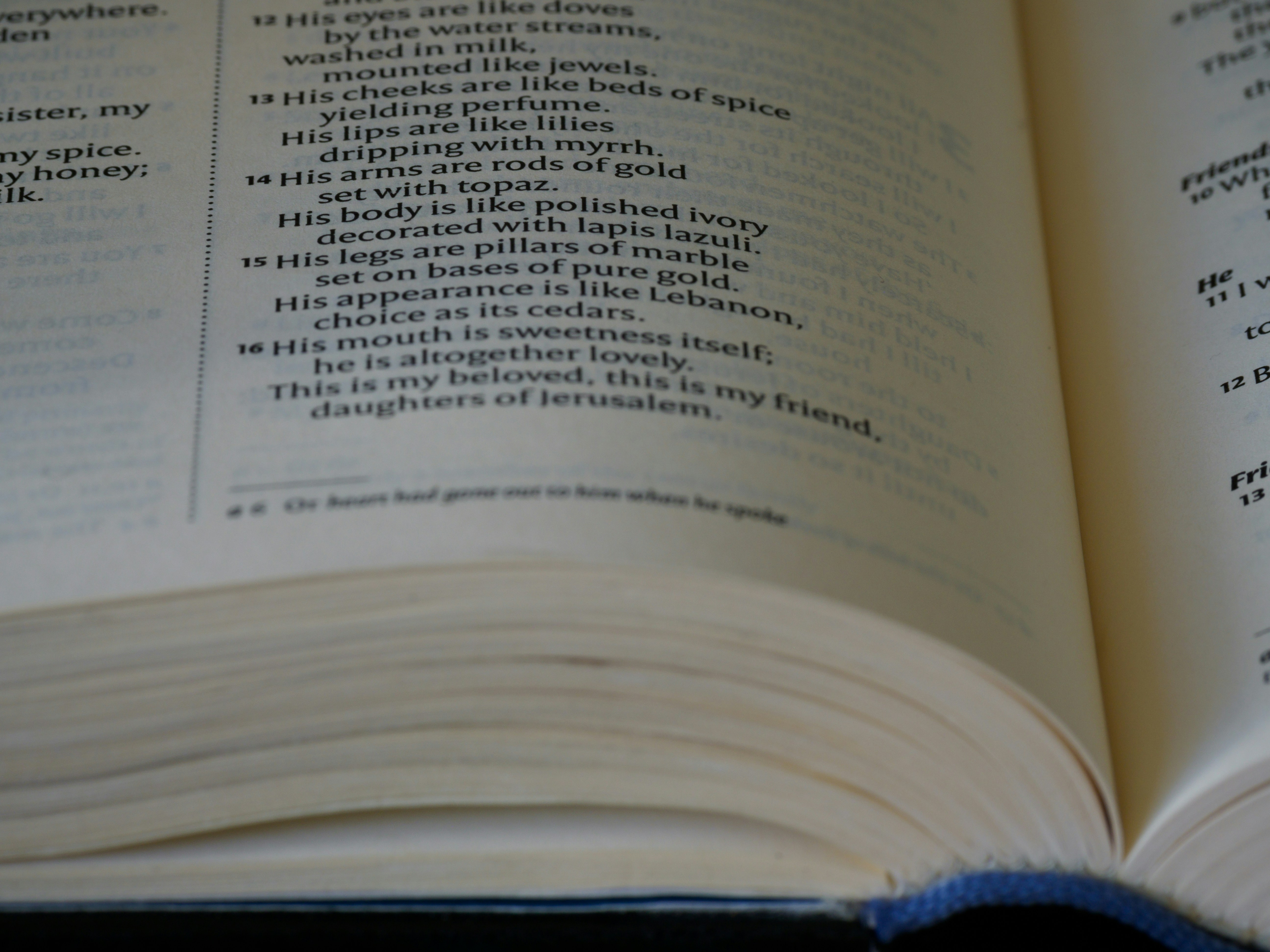 Photo by brett_jordan