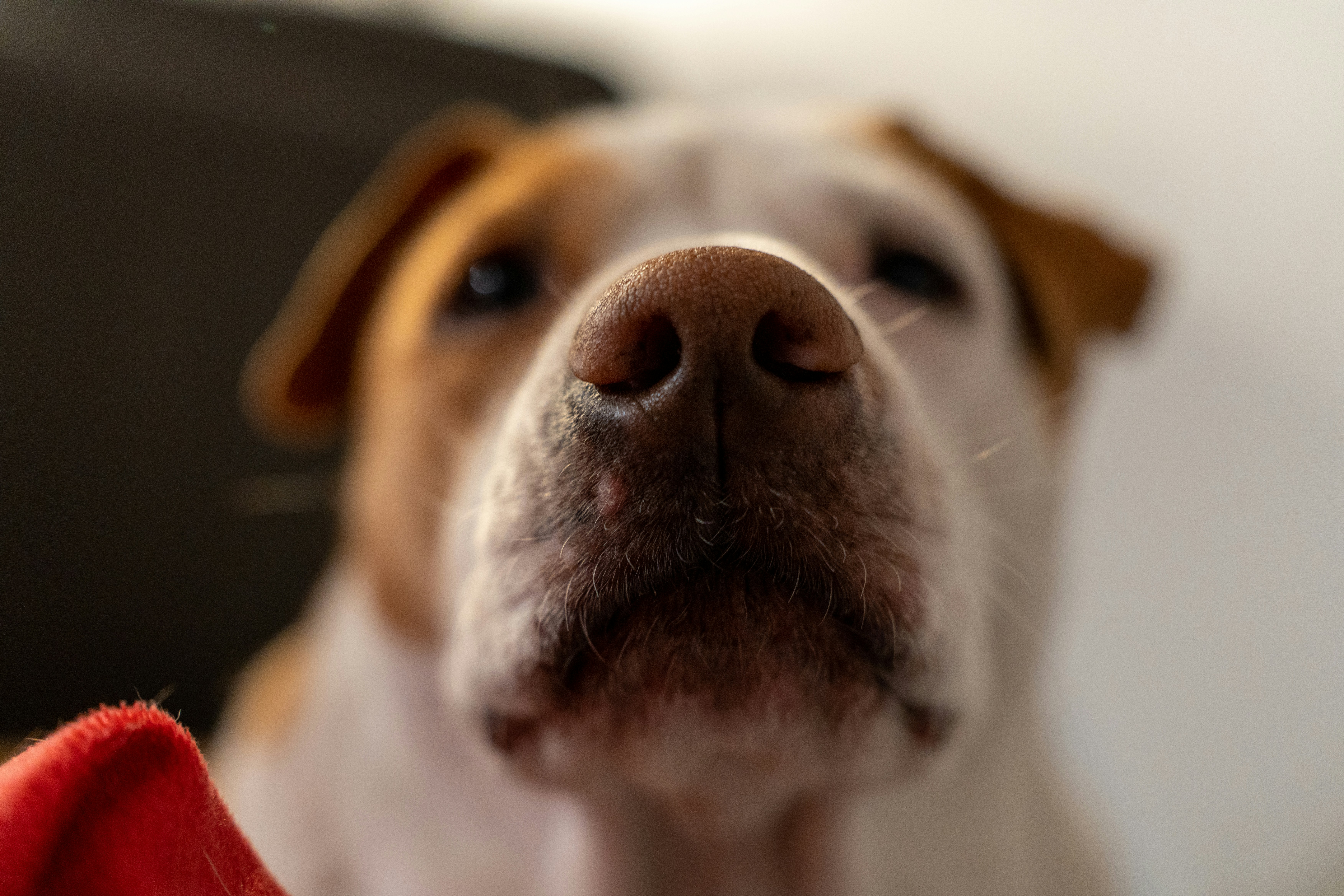 Photo by matthew_parsanian