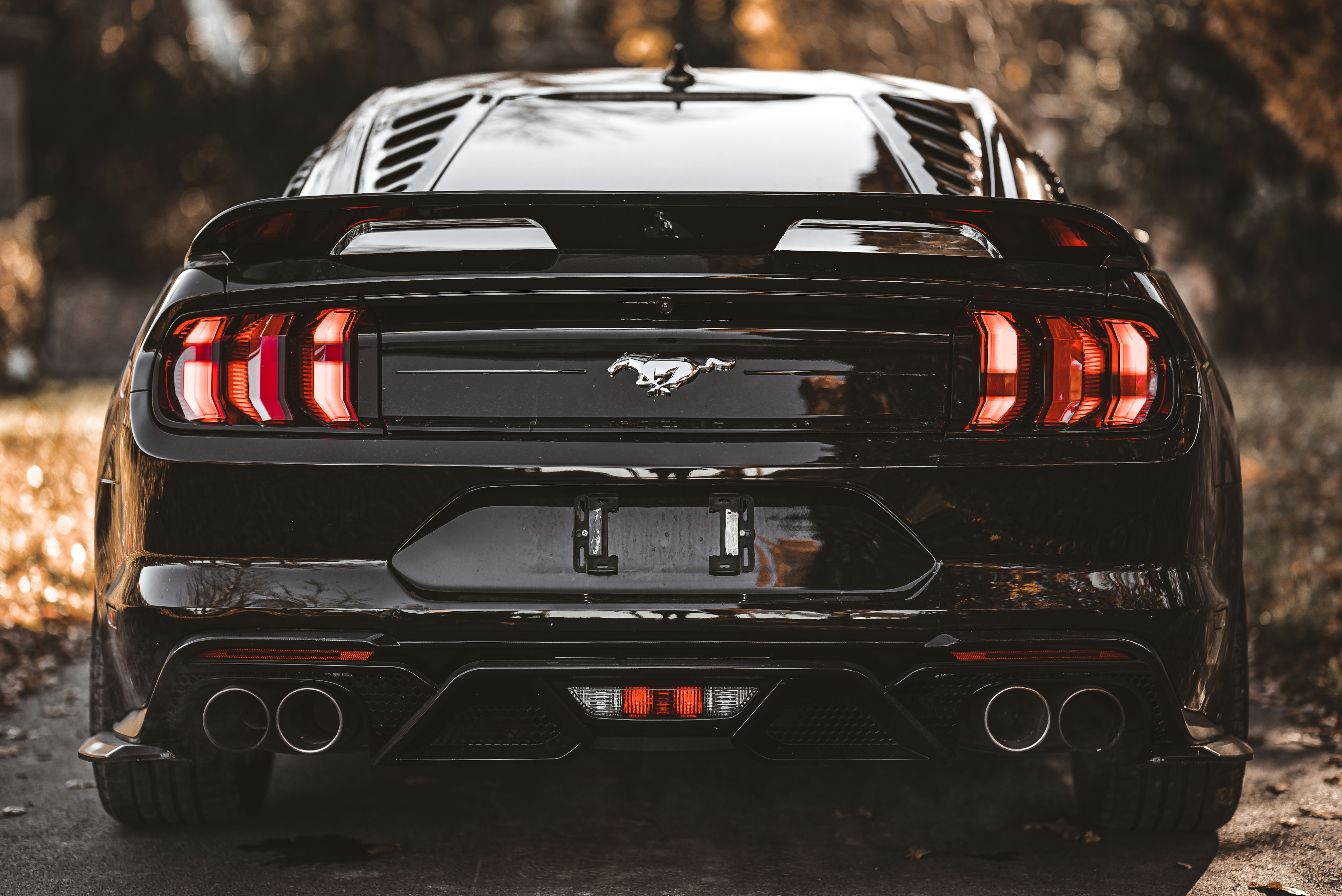 muscle car orange wallpaper, wallpaper, Inferno Orange: Exploring the Allure of Muscle Car Colors 4