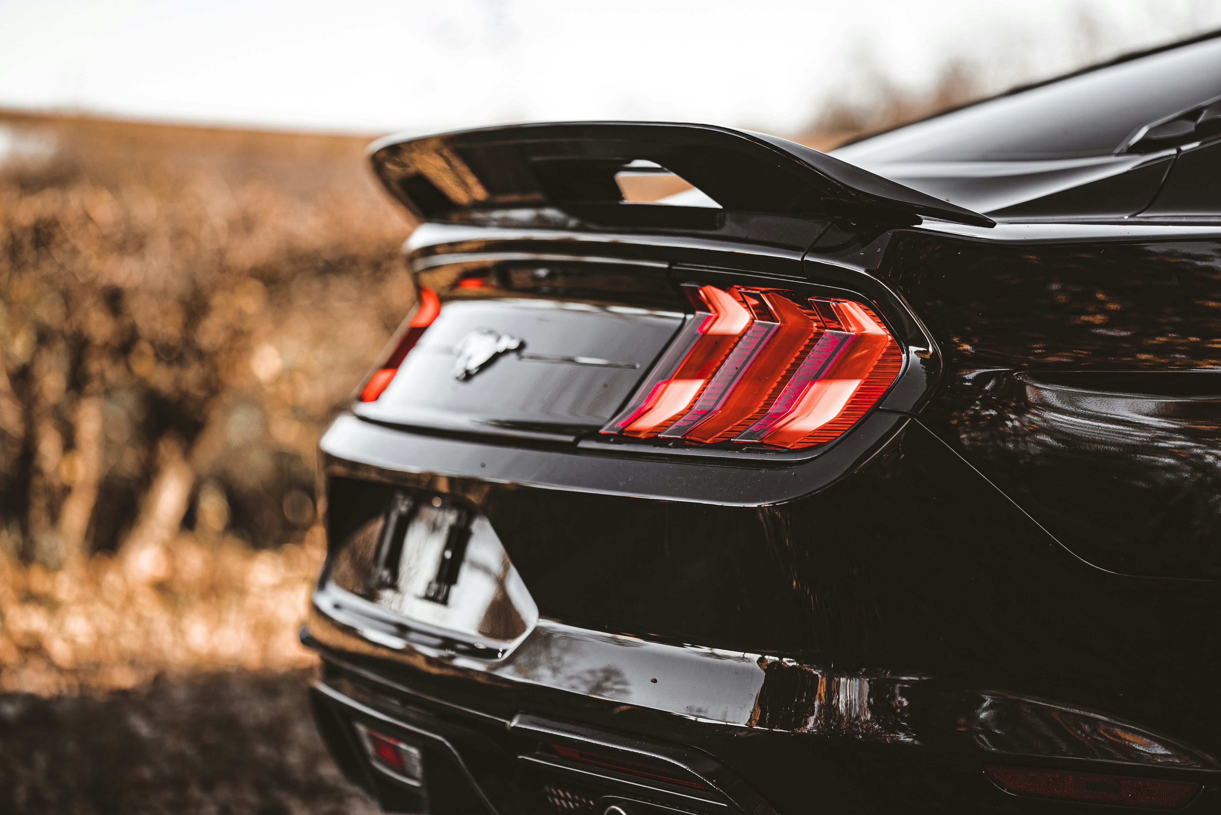 Photo by hk_filmografy