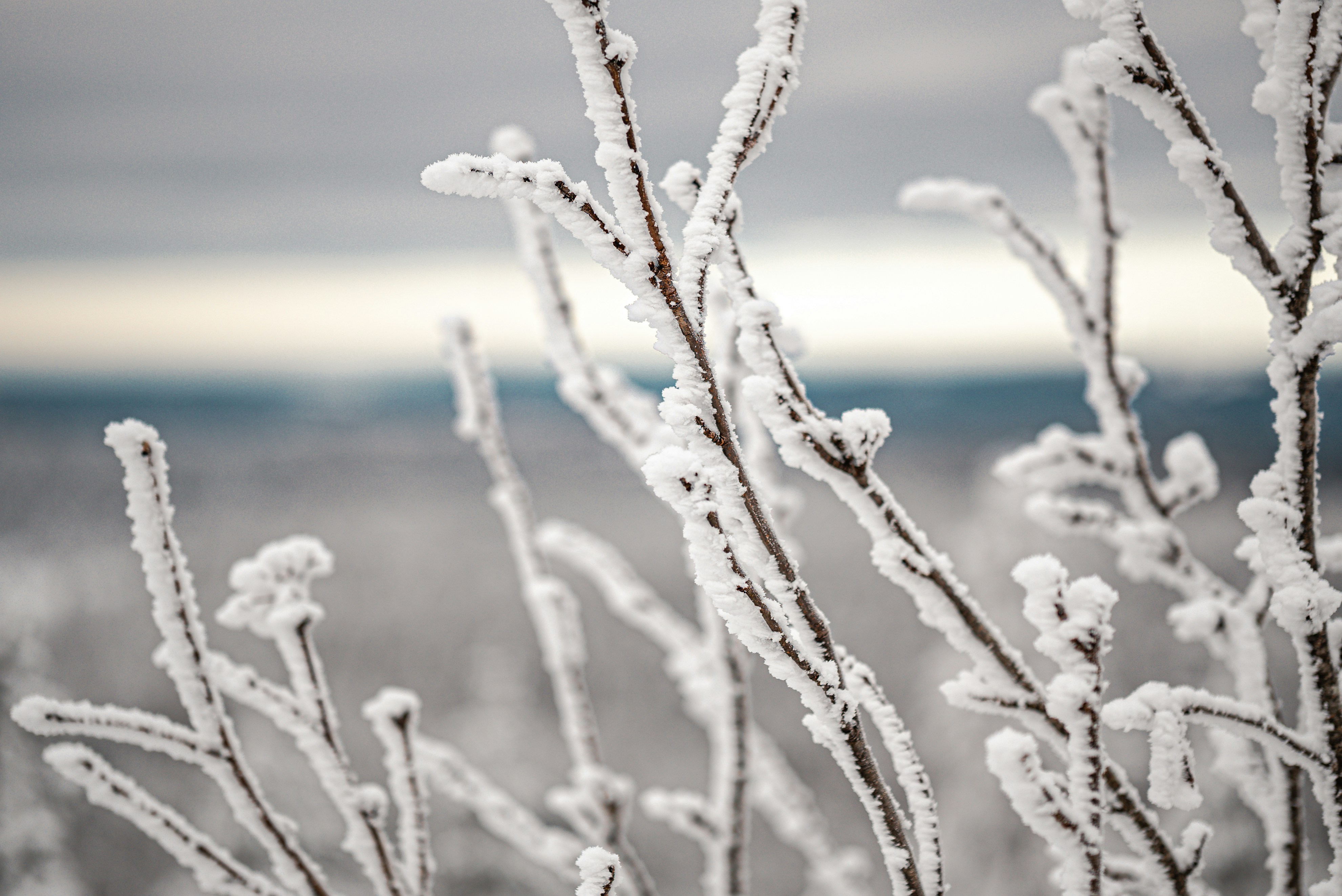 Photo by hk_filmografy