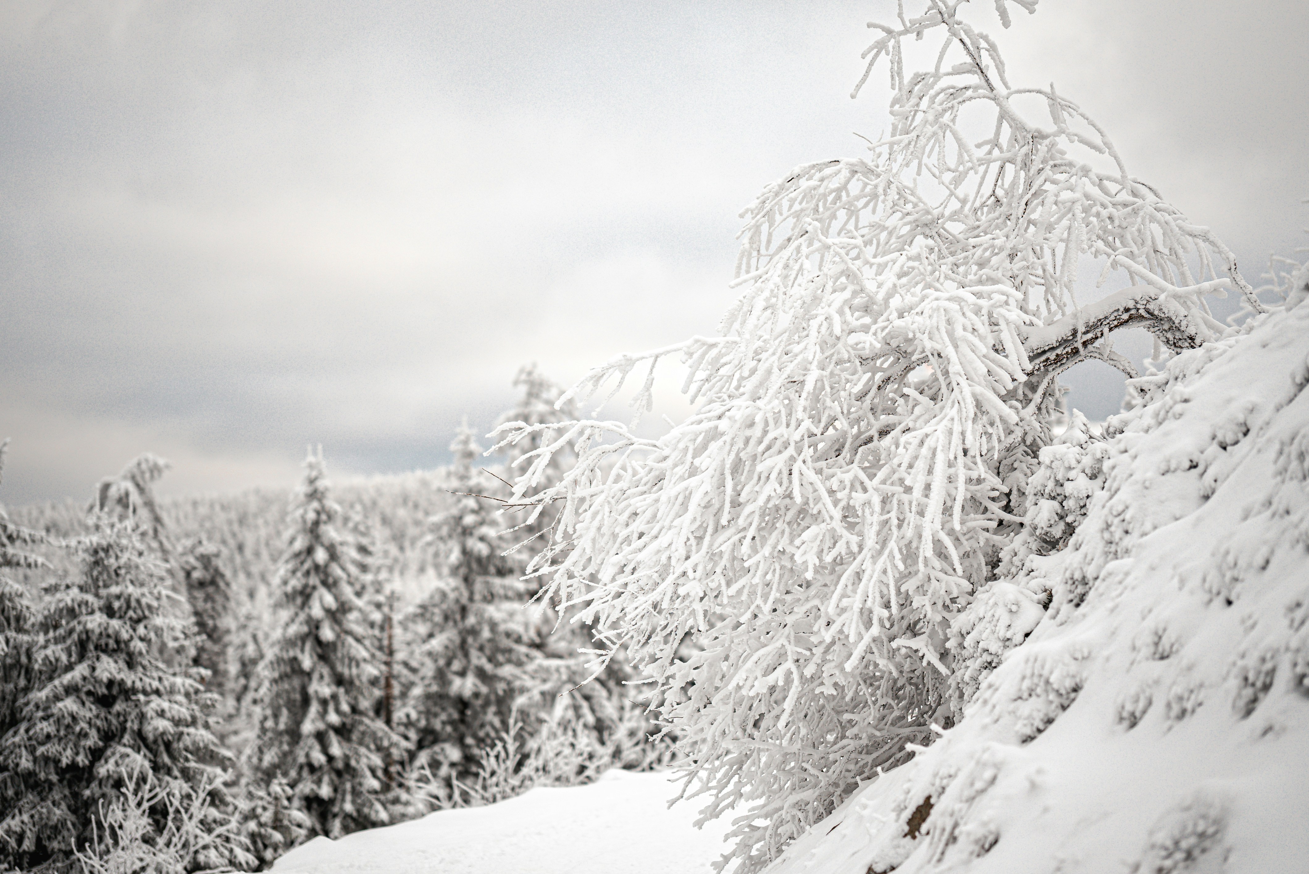 Photo by hk_filmografy