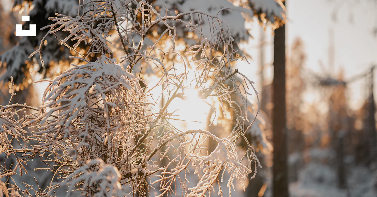 Source Splash Snow Image A close up of some snow photo – Free Snow Image on Unsplash