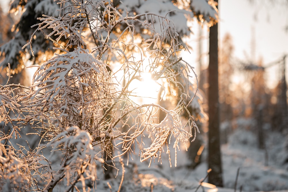 a close up of some snow