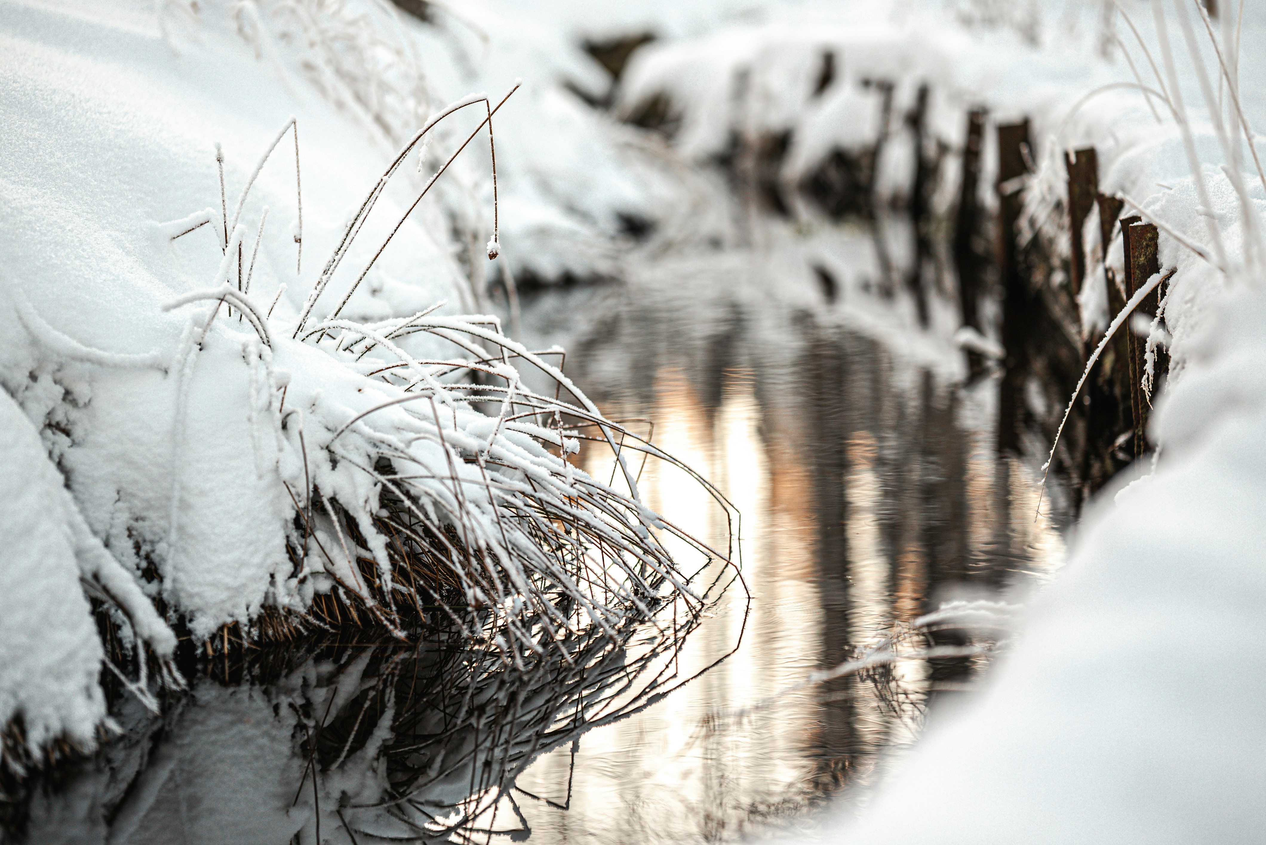 Photo by hk_filmografy