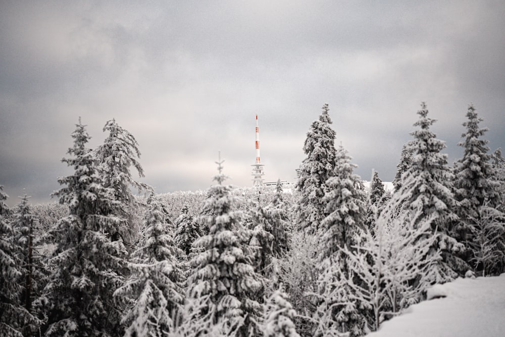 a snowy forest with a tower in the distance