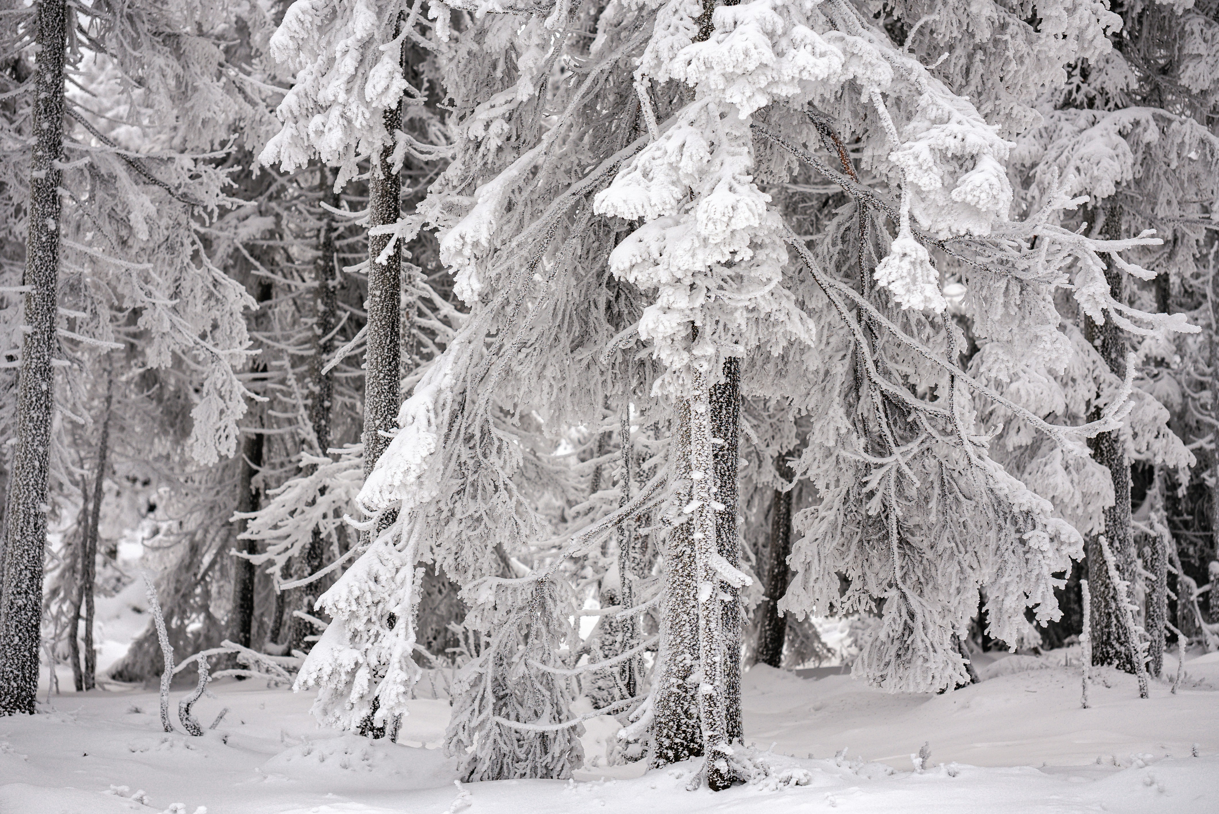 Photo by hk_filmografy