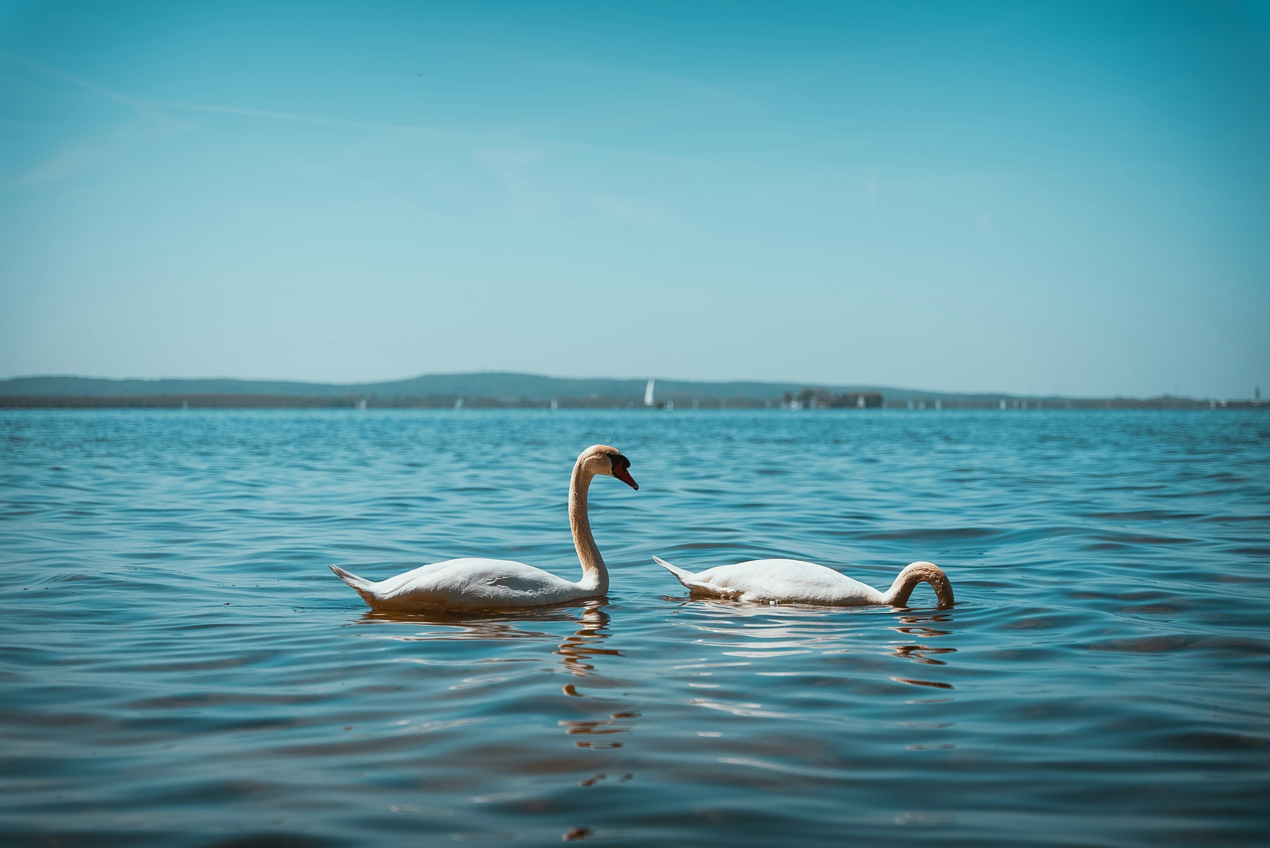 Photo by hk_filmografy