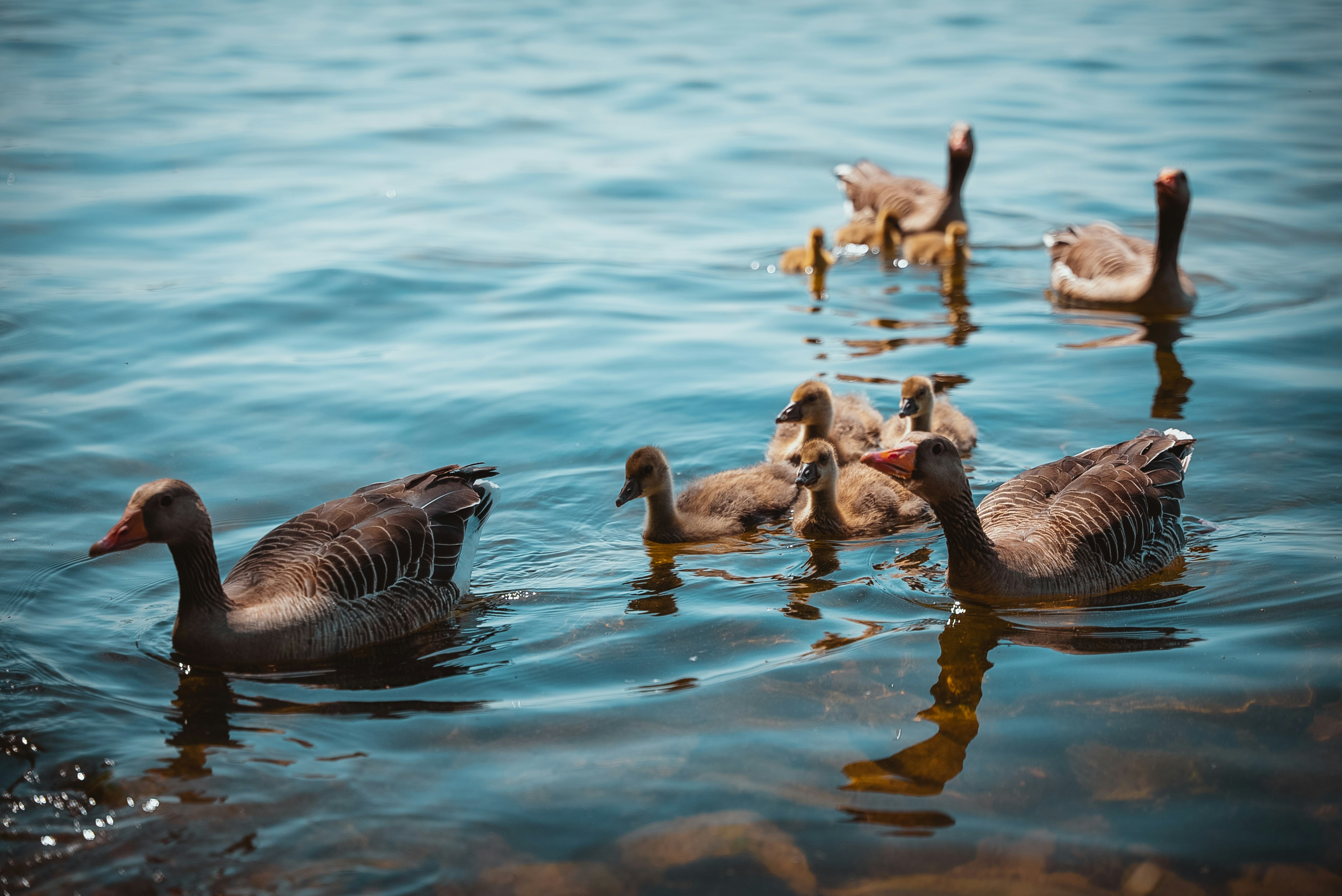 Photo by hk_filmografy