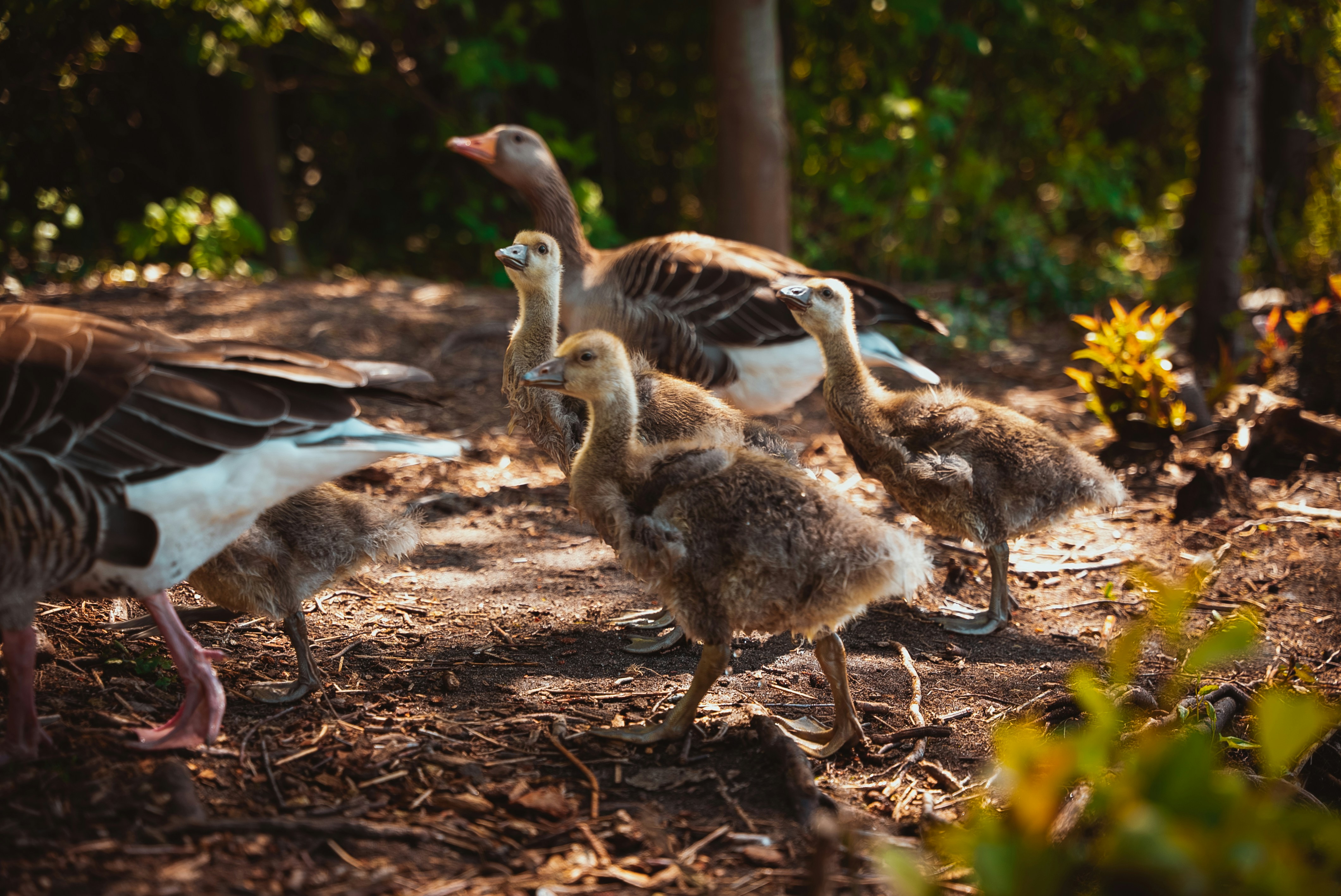 Photo by hk_filmografy