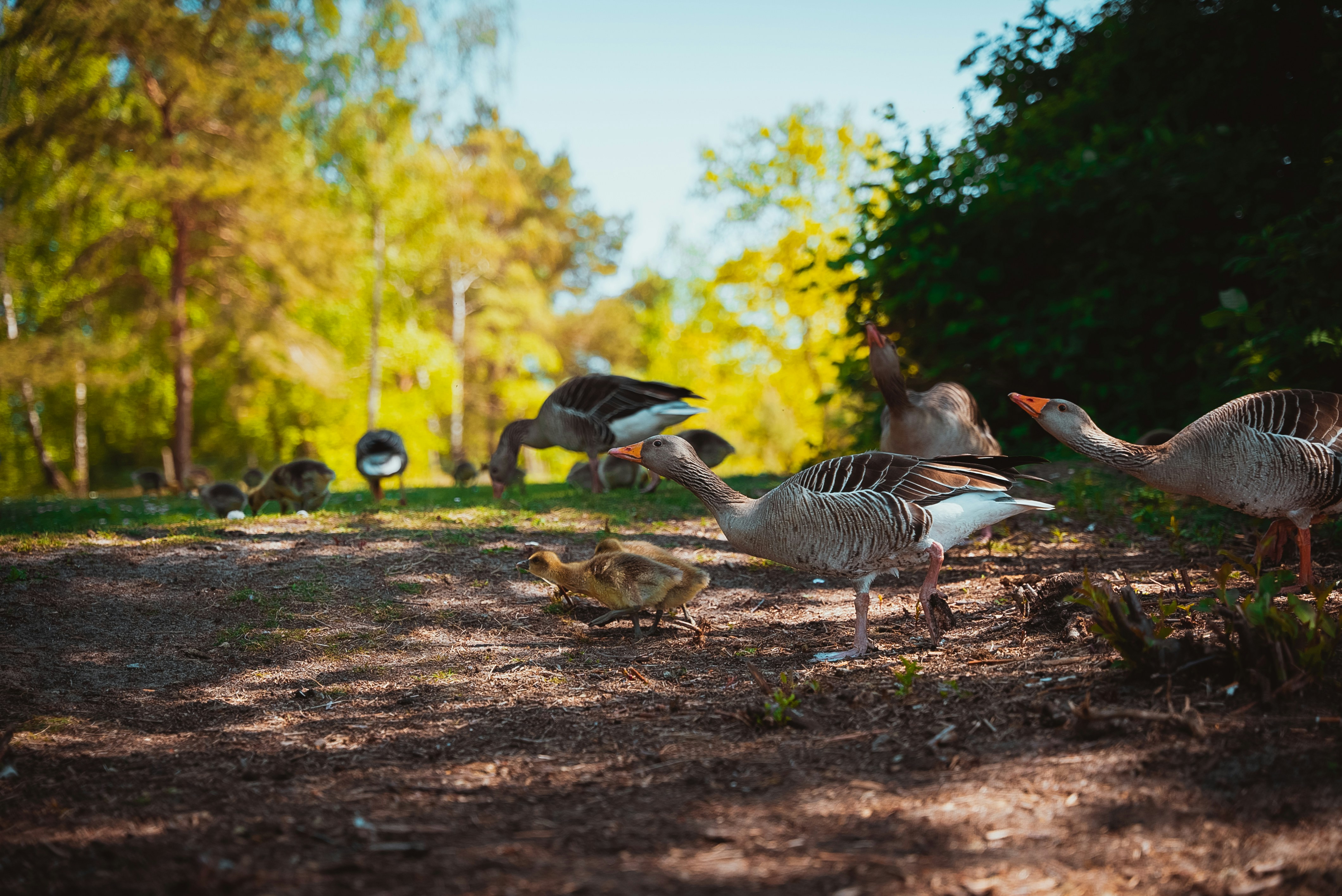 Photo by hk_filmografy