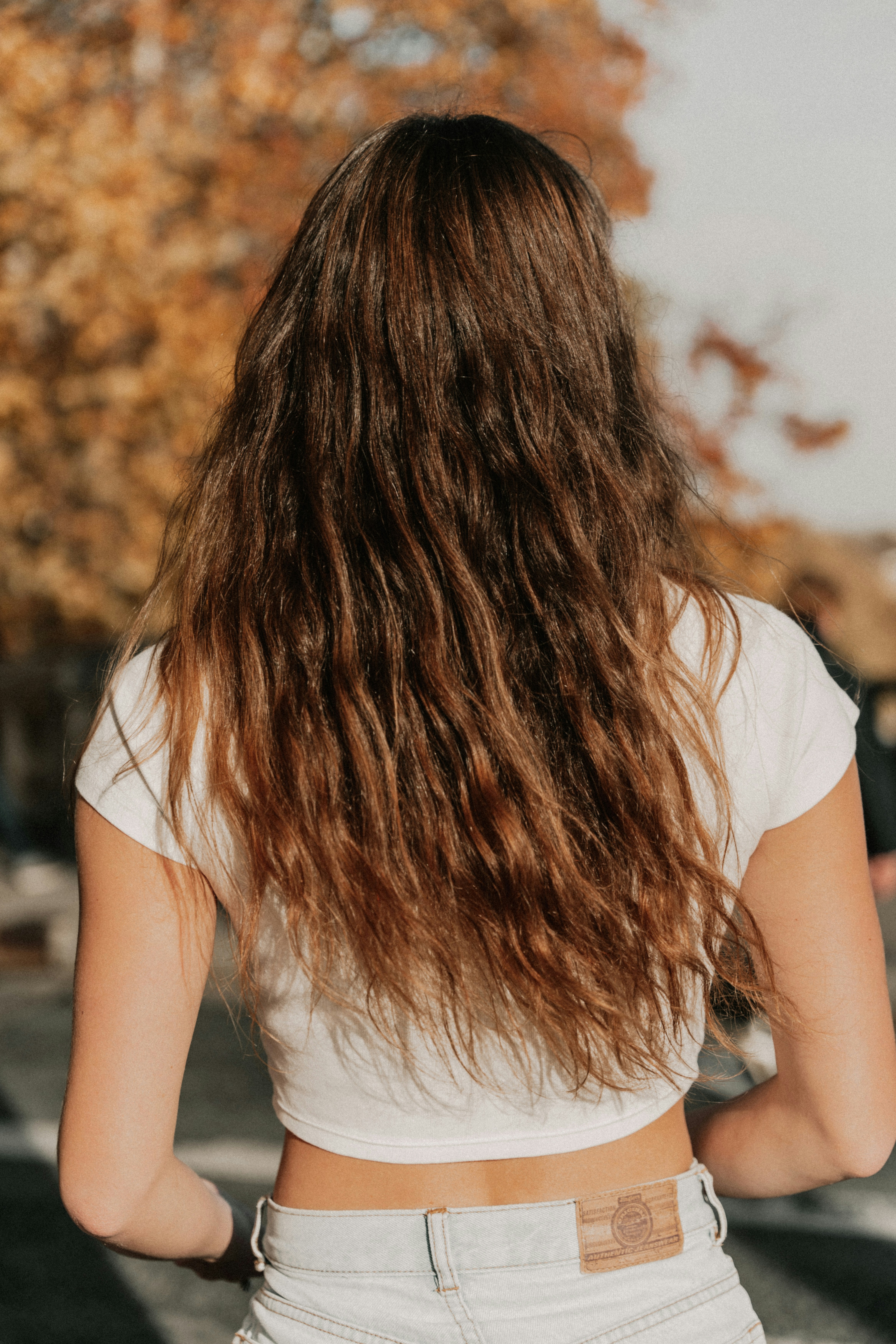 Photo by masoodaslami