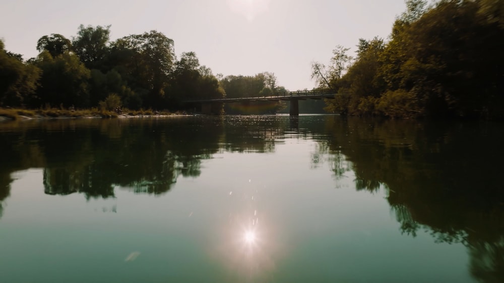 a body of water with trees around it