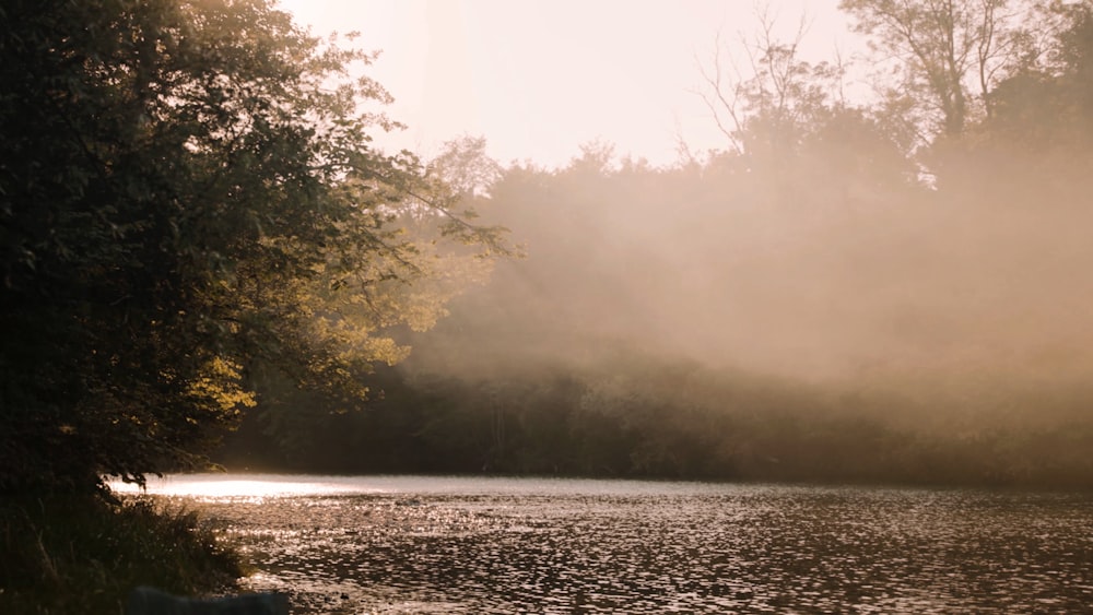 a lake with trees around it