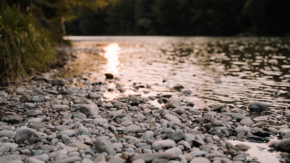 a stream of water with rocks and grass around it