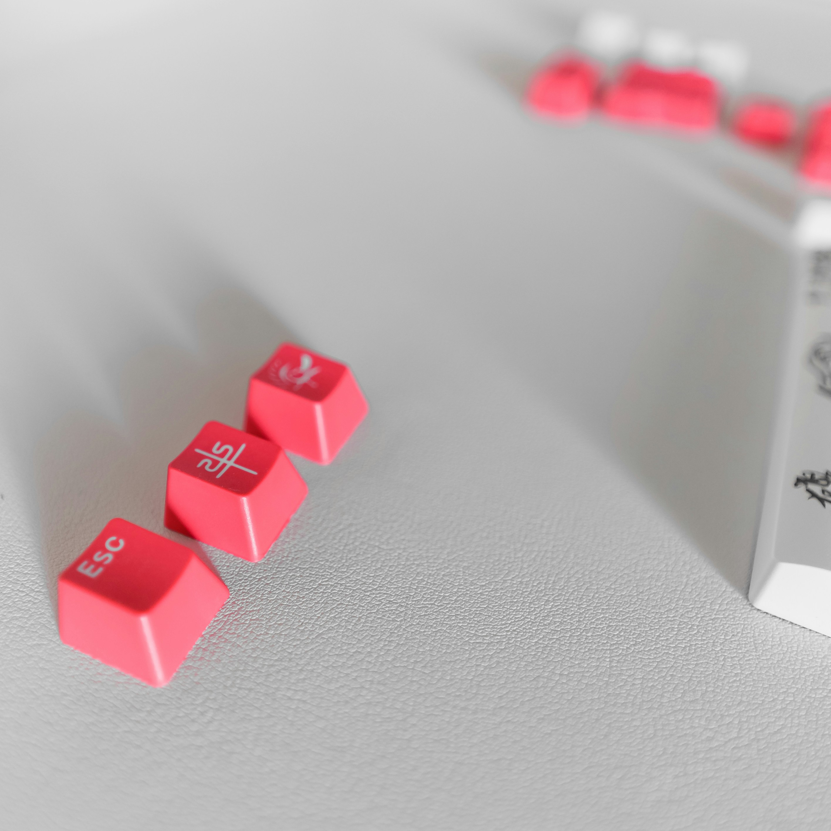 Photo by hk_filmografy