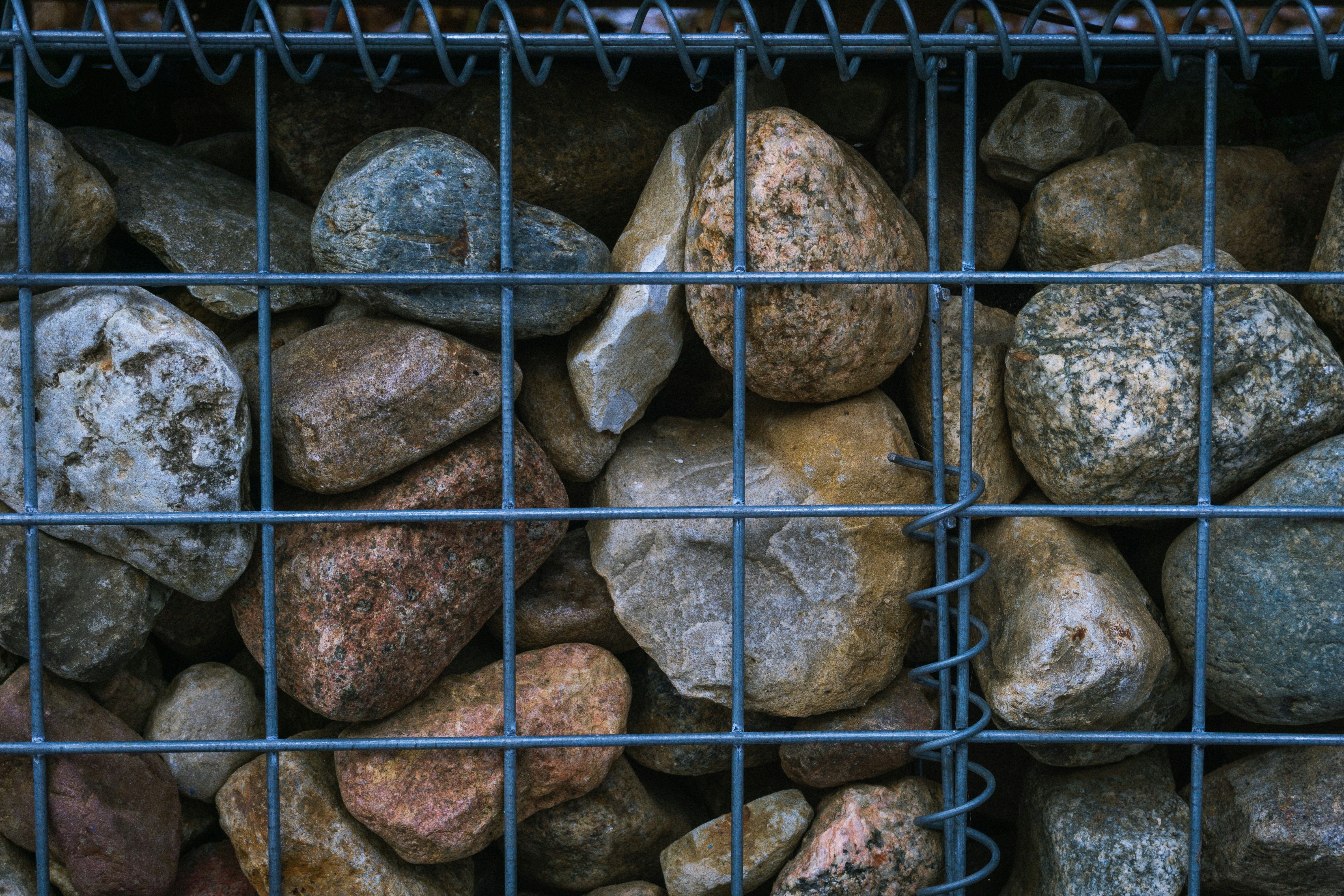 The Architecture of Desire: Why Bras Endure and Panties Fade