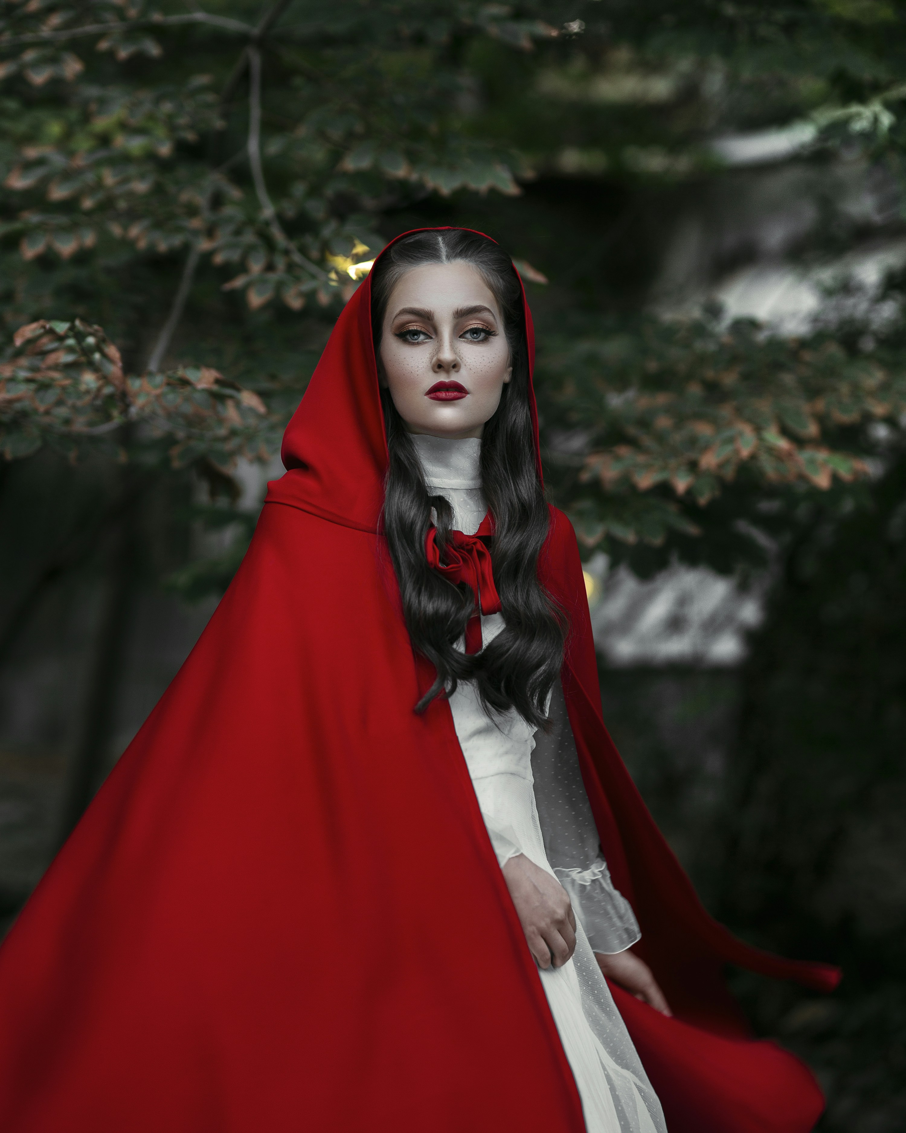 Photo by aliesfehaniyan