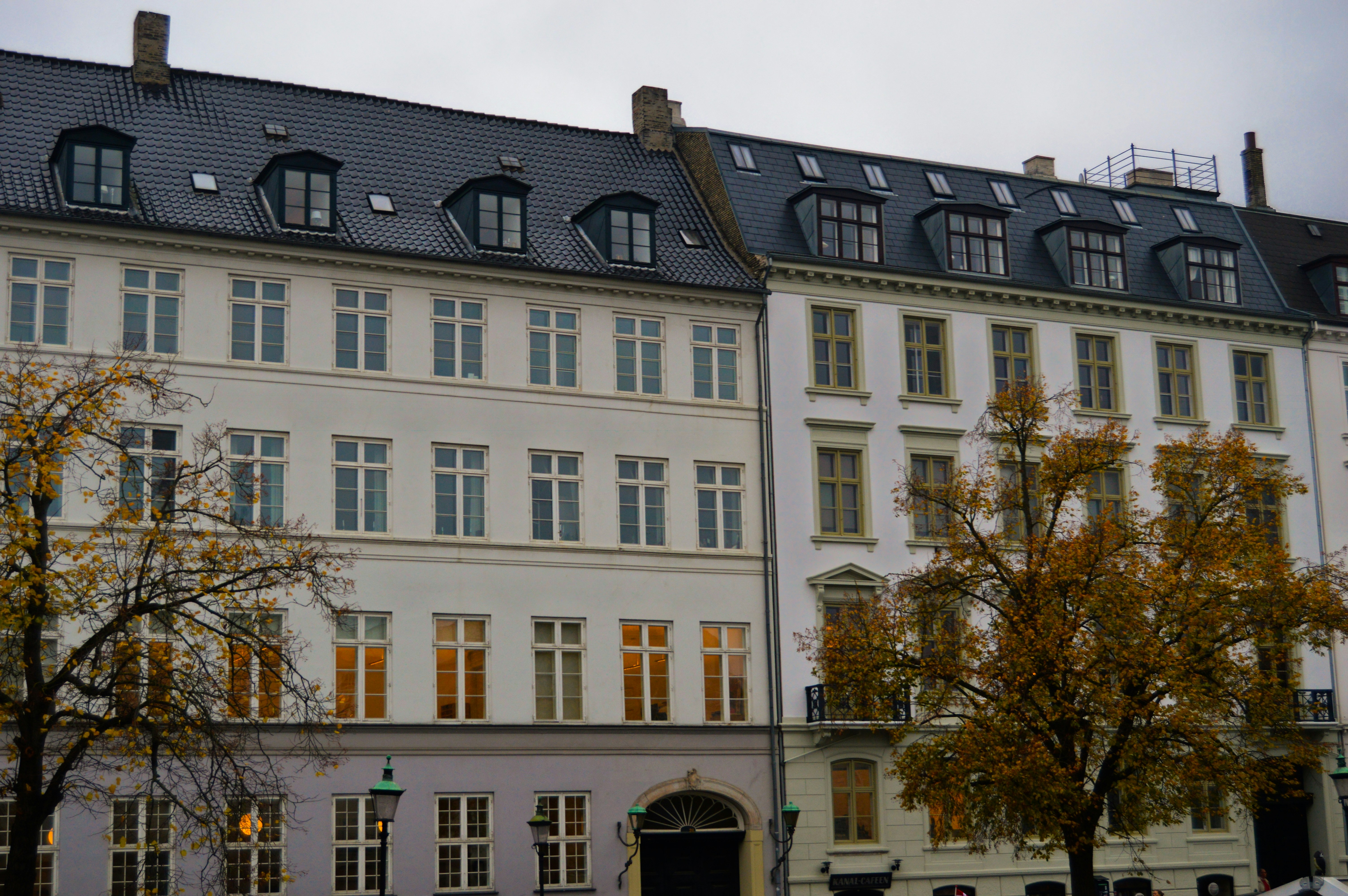 Photo by magnusmandrup